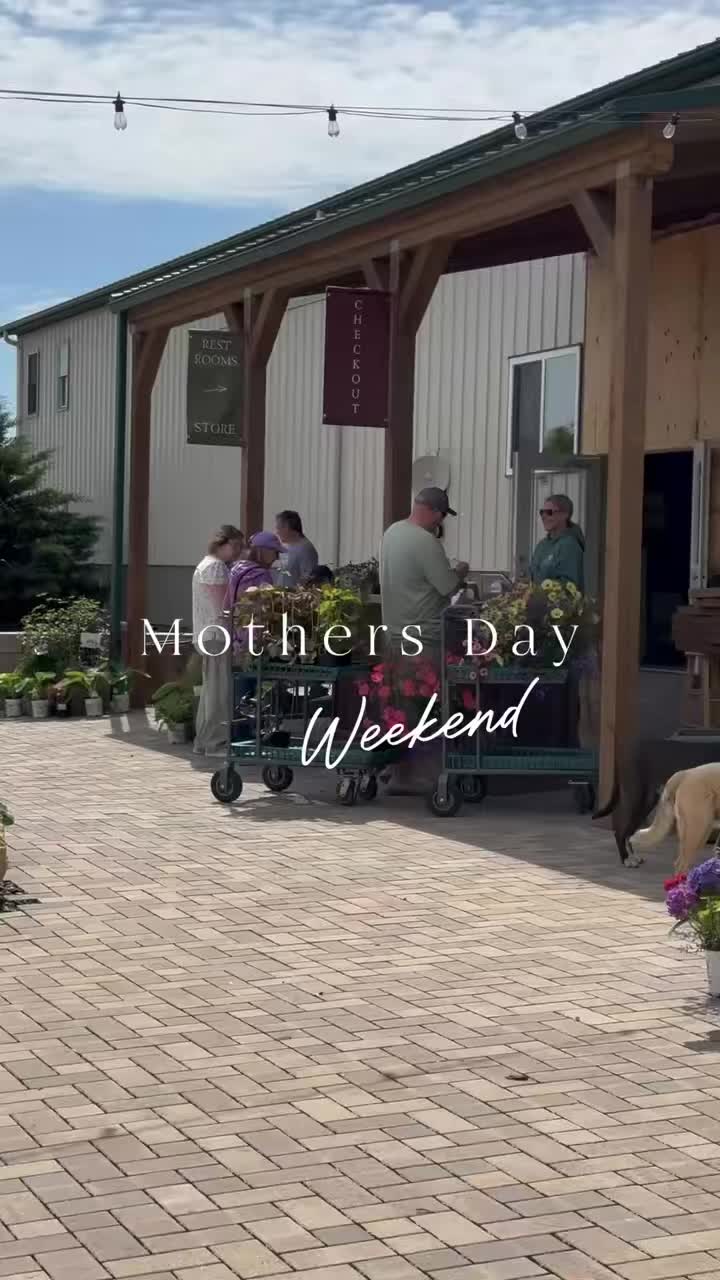 Mother’s Day Weekend at Spring Bluff was one for the books.
Full greenhouses. Families wandering the nursery yard. Food trucks, flowers, hanging baskets, and the kind of spring weather we wait all winter for.
And finally… it looks like the frost temperatures are behind us.
That means it’s time to plant. Vegetable gardens, porch pots, annual beds, herbs, hanging baskets; the season is here, and we have everything you need to get growing.
Thank you to everyone who spent part of their weekend with us. We’re grateful to be building a garden center focused not just on plants, but on the experience of slowing down, walking the nursery, and enjoying spring together.
#greenhousegardening #greenhouse #hangingbasketsofinstagram #hangingbasketsgalore #hangingbaskets🌹🌷🌸🌺💐🌿🍃 #gardencenters #gardencenterlife #gardencenter #stcharlesillinois #genevaillinois #bataviaillinois #sugargroveil #oswegoil #stcharlesil #auroraillinois #genevail #oswegoillinois #bataviail #sugargroveillinois #aurorail #hangingbaskets