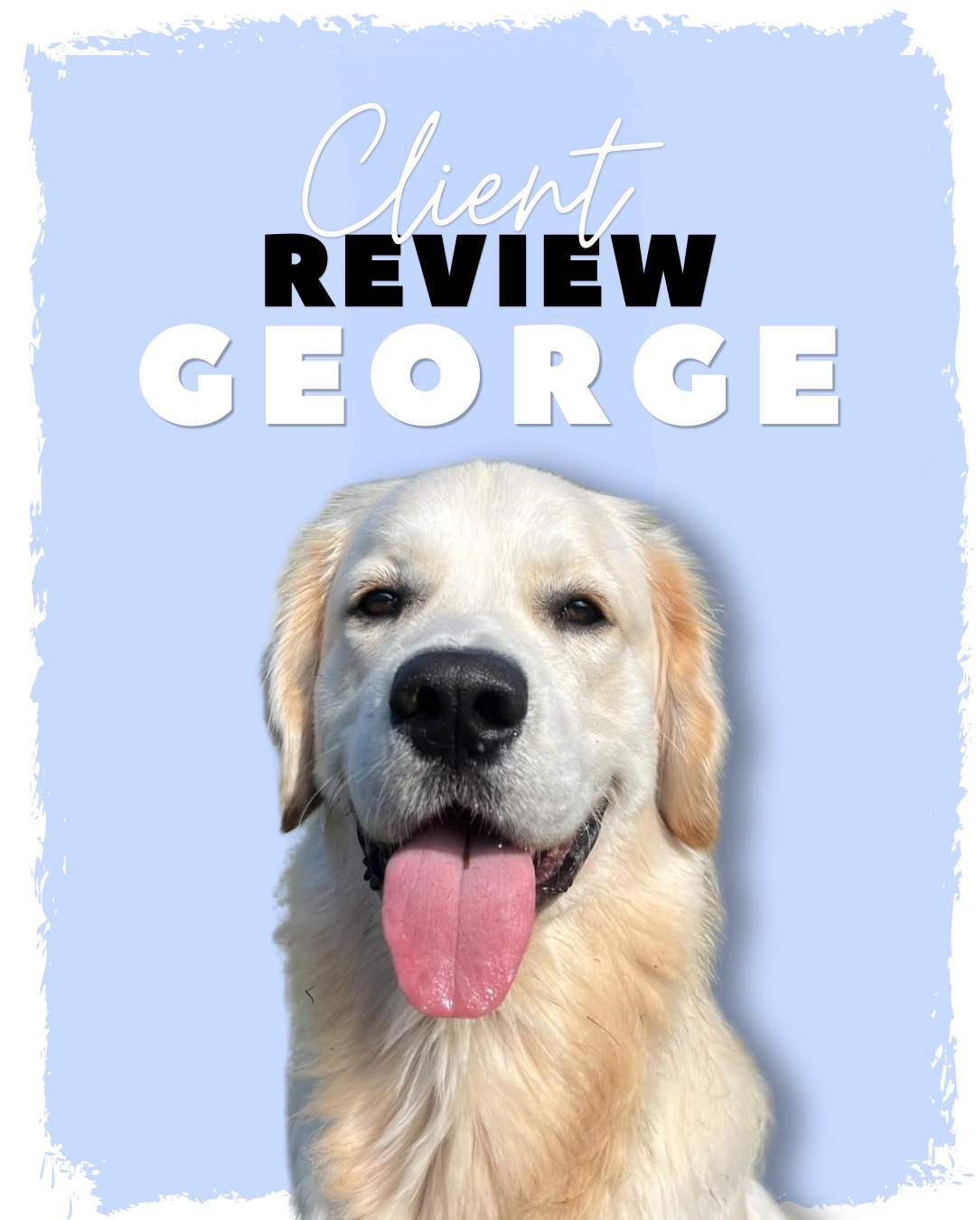 Client review from @georges_golden.life 🥰 last time I didn’t post the entire thing so hear it is and also a reminder to the lovely Lucy that I miss that guy 🧐