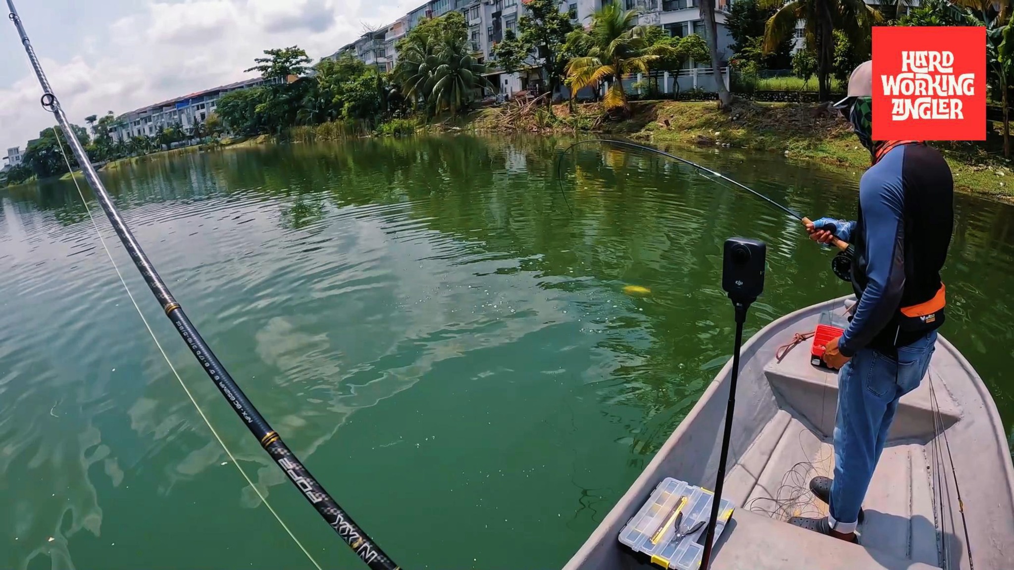 Fly fishermen are always welcome on our trips. From urban lakes around Kuala Lumpur to remote freshwater destinations across Malaysia, our guided fishing trips offer plenty of opportunities to target peacock bass and giant snakehead on fly gear. Whether you enjoy sight casting, topwater action, or simply exploring new tropical waters with a fly rod in hand, we’ll do our best to make the trip enjoyable and productive for you.
Our website - https://www.hardworkingangler.com
#peacockbassfishingguidemalaysia #hardworkingangler #fishing #visitmalaysia