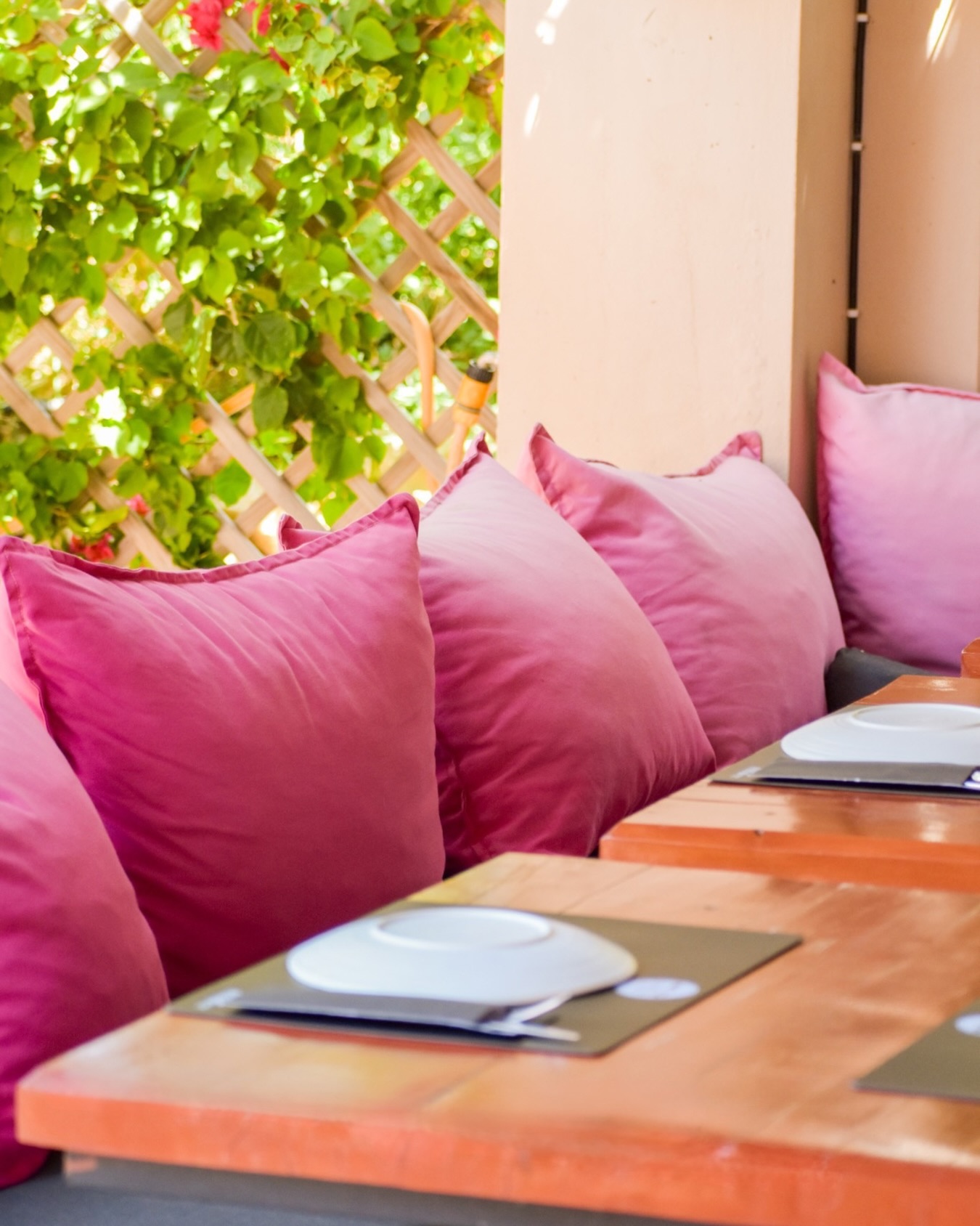 Pretty corners, good company, and plates worth talking about.
Spring days always feel better at 3 Wise Monkeys.🌸🐵
#3wisemonkeys#restaurant#bar#assos#kefalonia