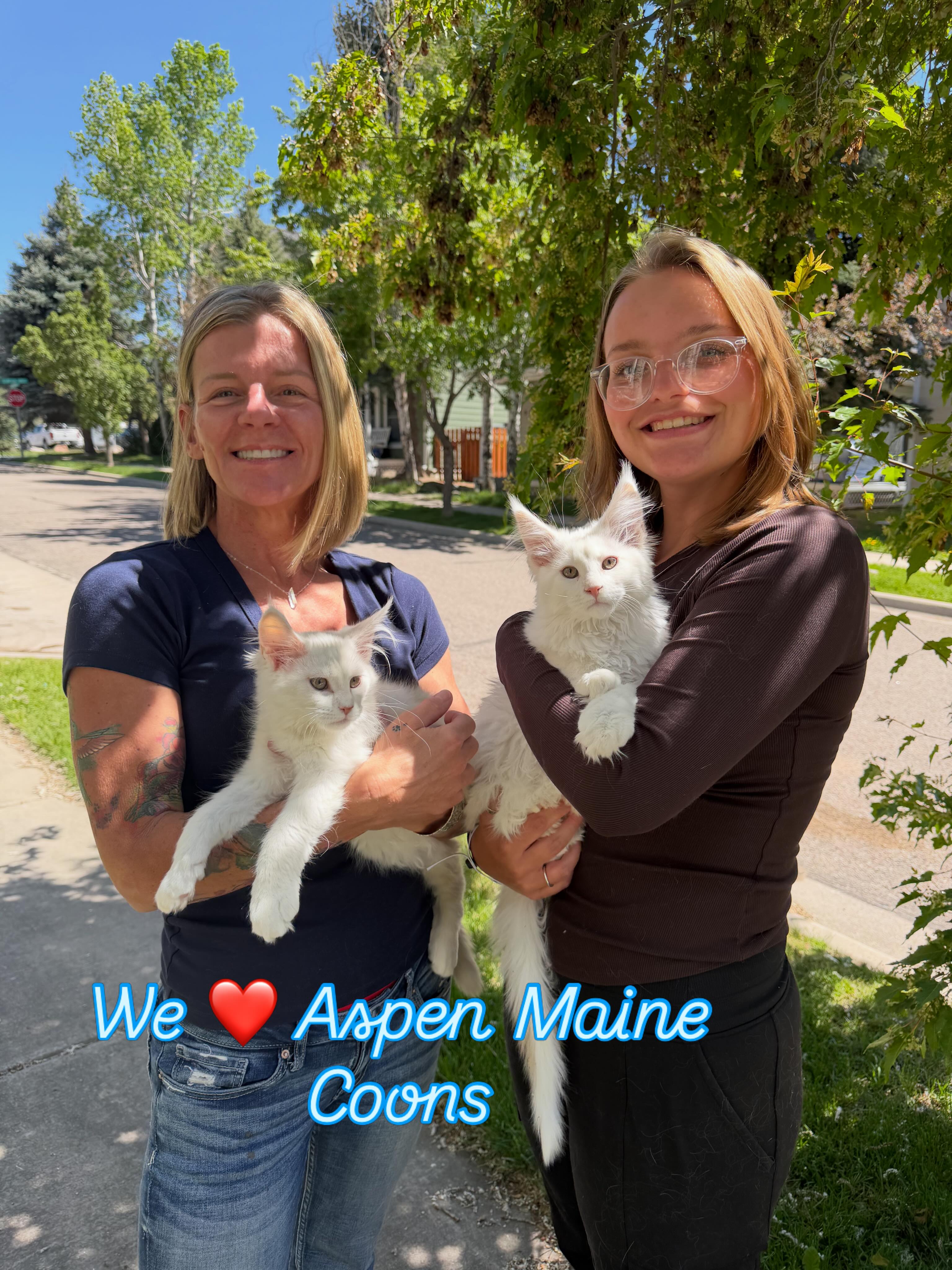 🐾Family that cats together stays together! We ❤️ Aspen Maine Coons! 🐾