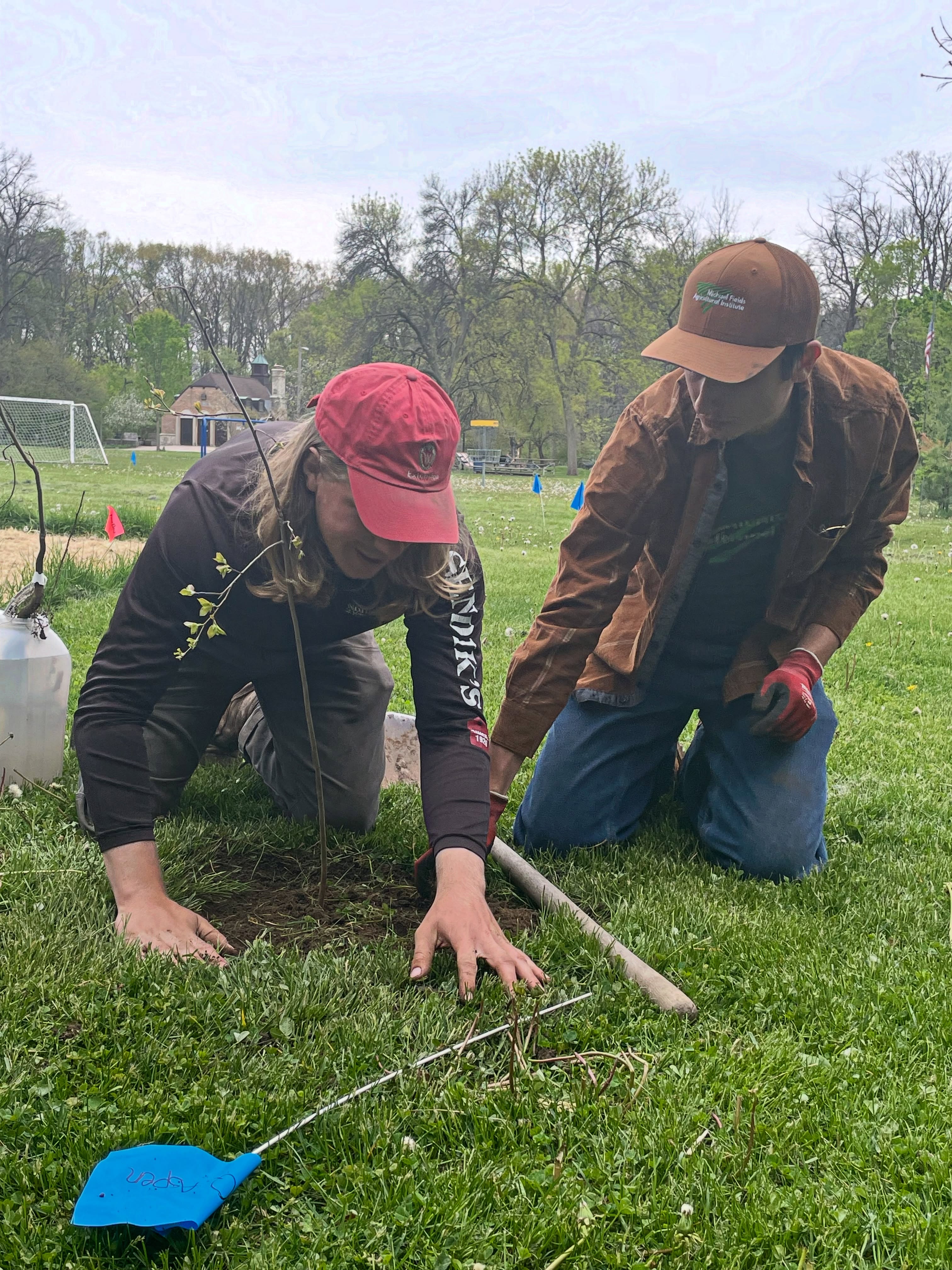Planting is better with partners! Last weekend we planted dozens of trees and shrubs as part of our Agroforestry demonstration project in @hawthornglenmke and it was a blast! Along with UW Extension Milwaukee County, Milwaukee Public Schools, and over 30 volunteers - we installed wildlife habitat and fruit for people and animals. We are doing it again this Saturday morning at Kohl Farms Community Garden in Milwaukee. Come volunteer and learn all about food forests and how to plant for success. Get more information and sign up at michaelfields.org/event-list