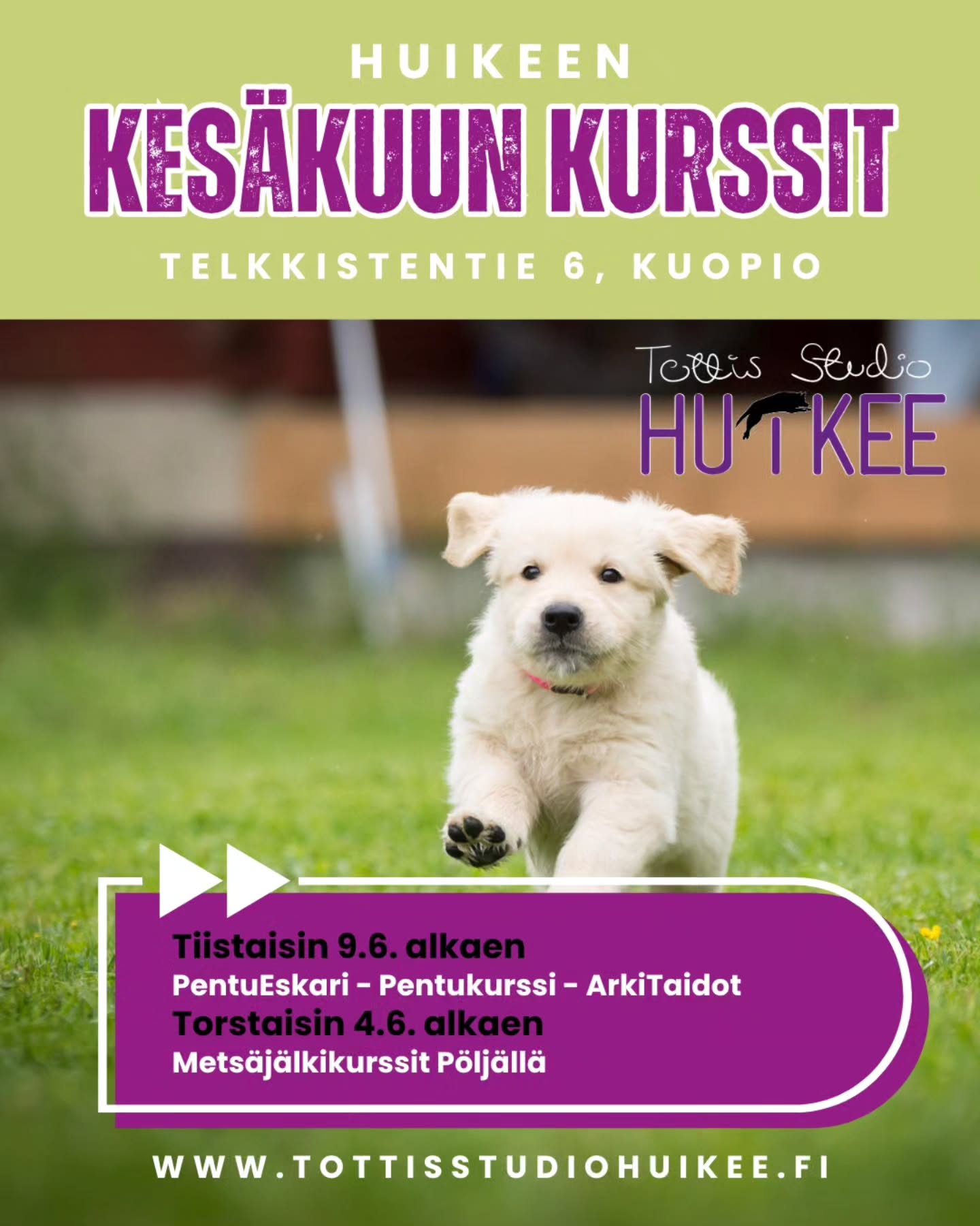 💛 HUIKEEN KESÄKUUN KURSSIT! 💛
Kesäkuussa tiistain kurssit HuiKeen hallilla Kuopion Kelloniemessä ja maastokurssit Pöljällä 🐾
ALKAVIA KURSSEJA
🟢 Pennuille Pentu Startista
✨️ PentuEskari
✨️ Pentukurssi
🟢 Arkeen aikuisille koirille
✨️ ArkiTaidot
🟢 HarrastusPolku
✨️ Metsäjälkikurssi kaikille koirille
🟢 POP UP -treenit
✨️ Yksittäisiä irtopaikkoja ryhmiin
✨️ Eri aiheista POP UP-tunteja
ILMOITTAUDU MUKAAN KURSSEILLE JA TREENEIHIN
▫️Kotisivujemme kautta
Lämpimästi tervetuloa mukaan! 💛✨️
#tottisstudiohuikee #koirankoulutus #koirahalliKuopio #koirakoulukuopio #koirakoulu