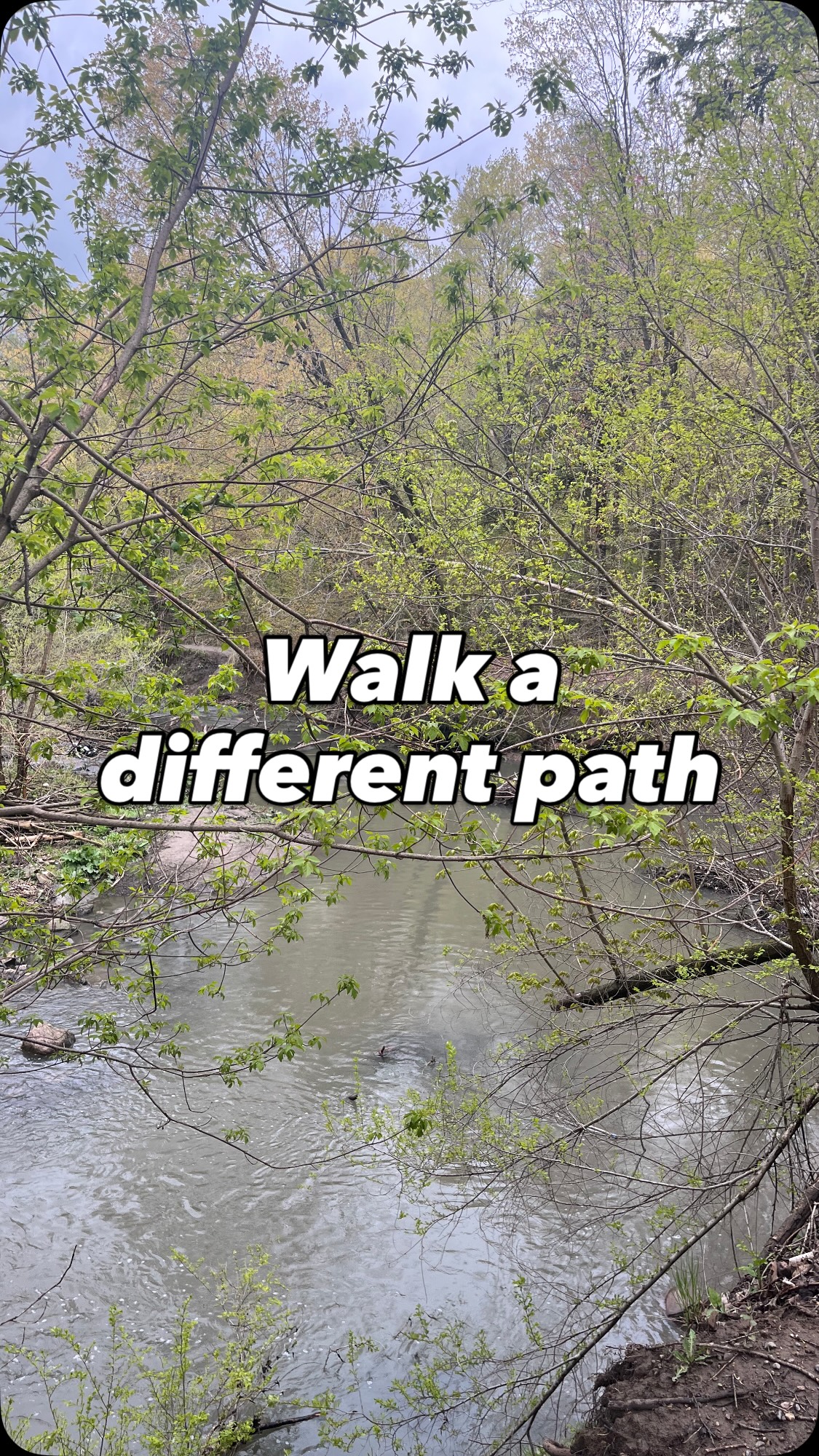 Leave your desk, the city streets, the traffic, the hustle, the bustle the noise, leave it all behind and reconnect with nature and see your mind body and spirit heal #Bodhilife