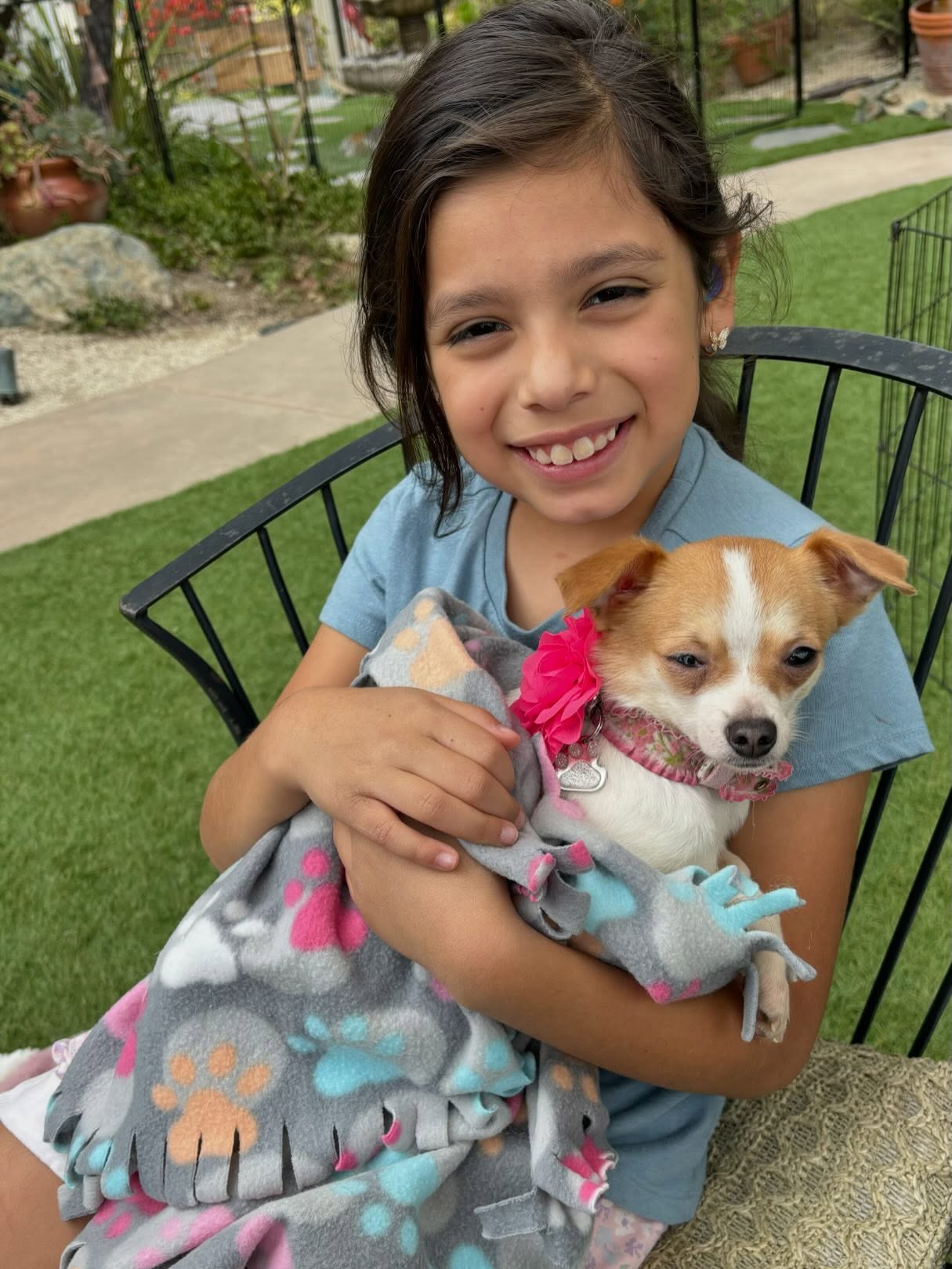 Precious 4 lb Liliana has been waiting for over a year for her Forever Family and she got that yesterday!! ππ
We rescued Liliana and her 5 siblings from a very neglectful home last year. (You may remember her tiny sibling Neri, whose eye had been gouged out.. We got her straight into surgery and now she's living her Best Life up north.)
Liliana's hip & back legs had been injured somehow, so we paid for two separate surgeries with an orthopedic veterinarian & she's been in rehabilitation for the past 5 months...
She's now able to walk & run and we are SO grateful to our partner @bettygx for lovingly caring for Liliana this past year... π
Our sweet little girl is going to be SO loved and cherished and will have the kind of life she's always deserved... π
#tinychihuahua #survivor #happilyeverafter #nevergiveup #almarescue