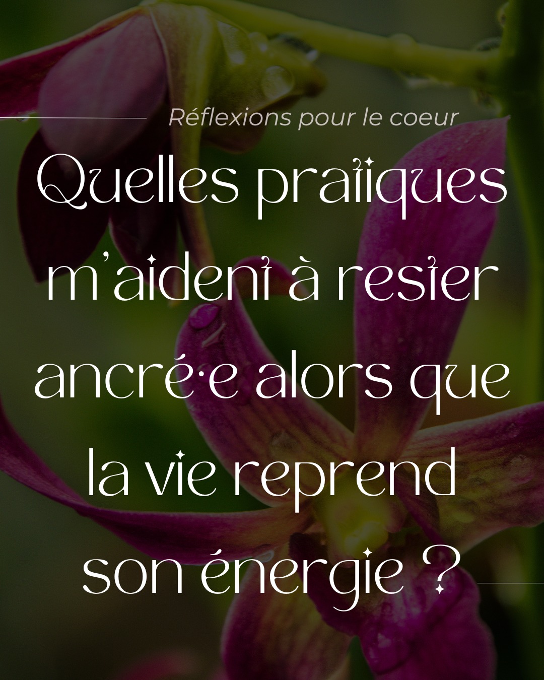 Les pratiques ancrées soutiennent l’équilibre intérieur lorsque le rythme extérieur s’accélère. 🤍
//
Grounding practices support inner balance as life’s energy picks up. 🤍
#groundingpractices #mindbodyconnection #innerbalance #holisticwellness #montrealwellness #mtlwellbeing #slowliving #selfcare