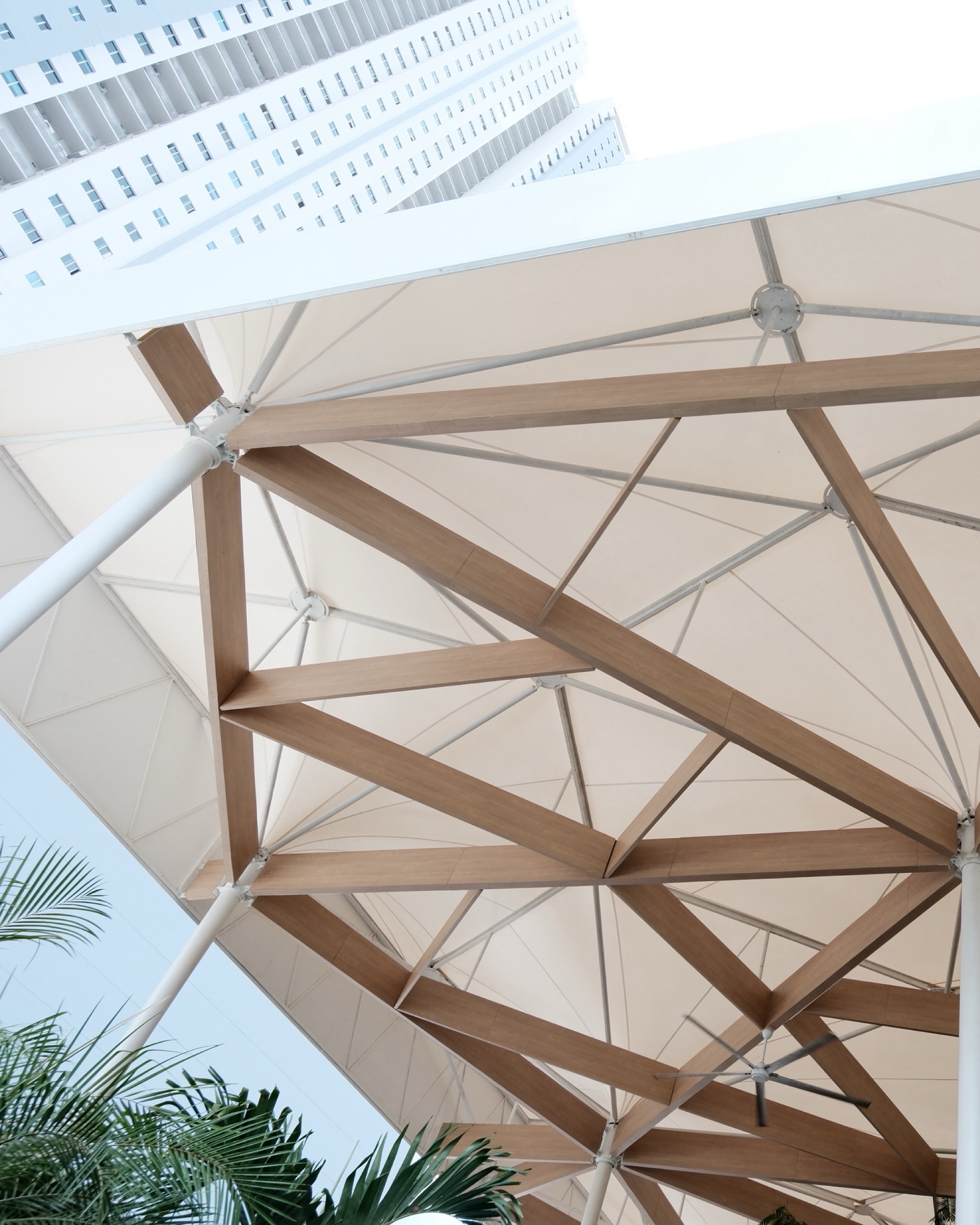 Proyecto comercial · Tensoestructuras
El techo de Plaza TAF fue desarrollado como una estructura que combina diseño, ingeniería y funcionalidad en cada detalle.
Una tensoestructura de gran escala con geometrías complejas, columnas que integran el sistema de desagüe y una composición estructural pensada para crear amplitud, sombra y ligereza visual dentro del espacio.
Cada unión, tensión y acabado fue fabricado e instalado con precisión para lograr una estructura limpia, resistente y alineada con la propuesta arquitectónica del proyecto.
En Cattan desarrollamos soluciones especiales donde la complejidad estructural y el diseño trabajan como un solo sistema.
#cattanpanama #industriascattan #tensoestructura #tensoestructuras