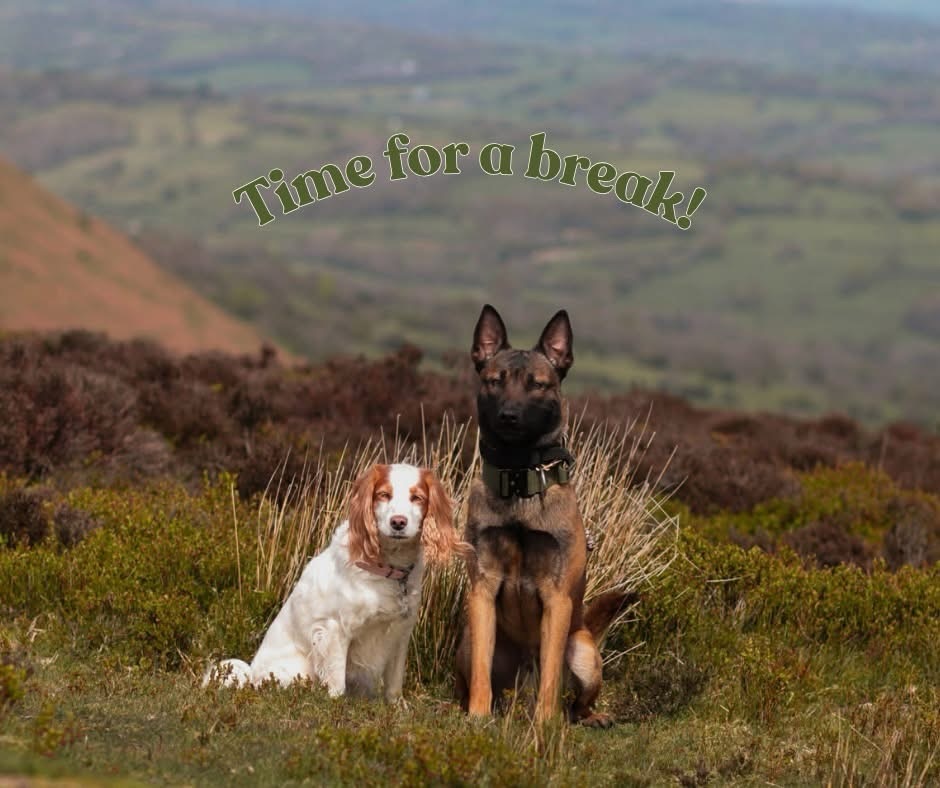It’s time for a break!
This week, we’ve taken time off for a much needed holiday! We’re currently in Wales with some of the pack for some rest and will be back in the office as of the 19th May.
Sally will still be working during the week so if you need us, she is on hand to help and our website will continue to be open and available to take bookings whilst they are away.
However, please bear in mind, we will NOT be contactable and will be taking a much needed switch off from the company!
Thank you for your understanding and we’ll see you in a weeks time!