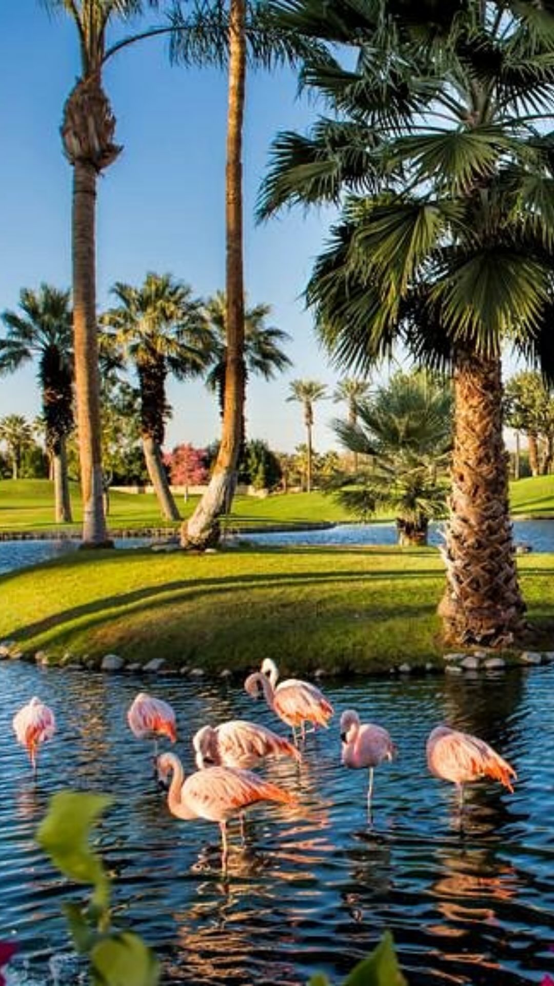 Here’s what’s happening around the Coachella Valley this week.
Where will I find you? Is anyone else intrigued by Puppy Pals Live or is it just me? Lololol
#PalmSprings #CoachellaValley #GreaterPalmSprings #PalmSpringsLife #JermaineAntonio
