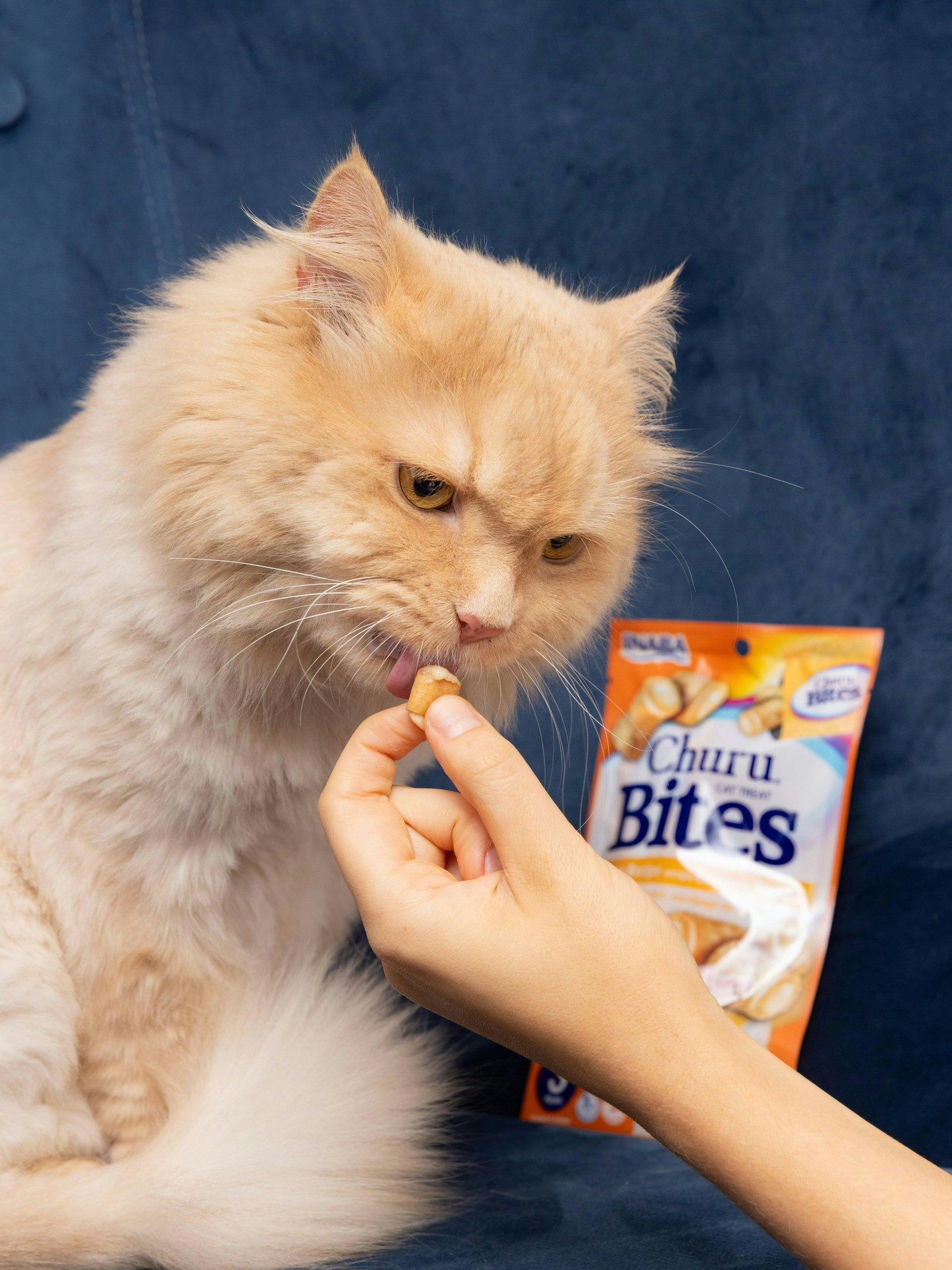 This good girl deserves a treat🥰
Made with wholesome ingredients you can trust, our Churu Bites are the perfect soft, savoury and healthy snack.
So good that even your pooch might steal these from your hand!
#ChuruBites #ChuruCat #CatSnacks