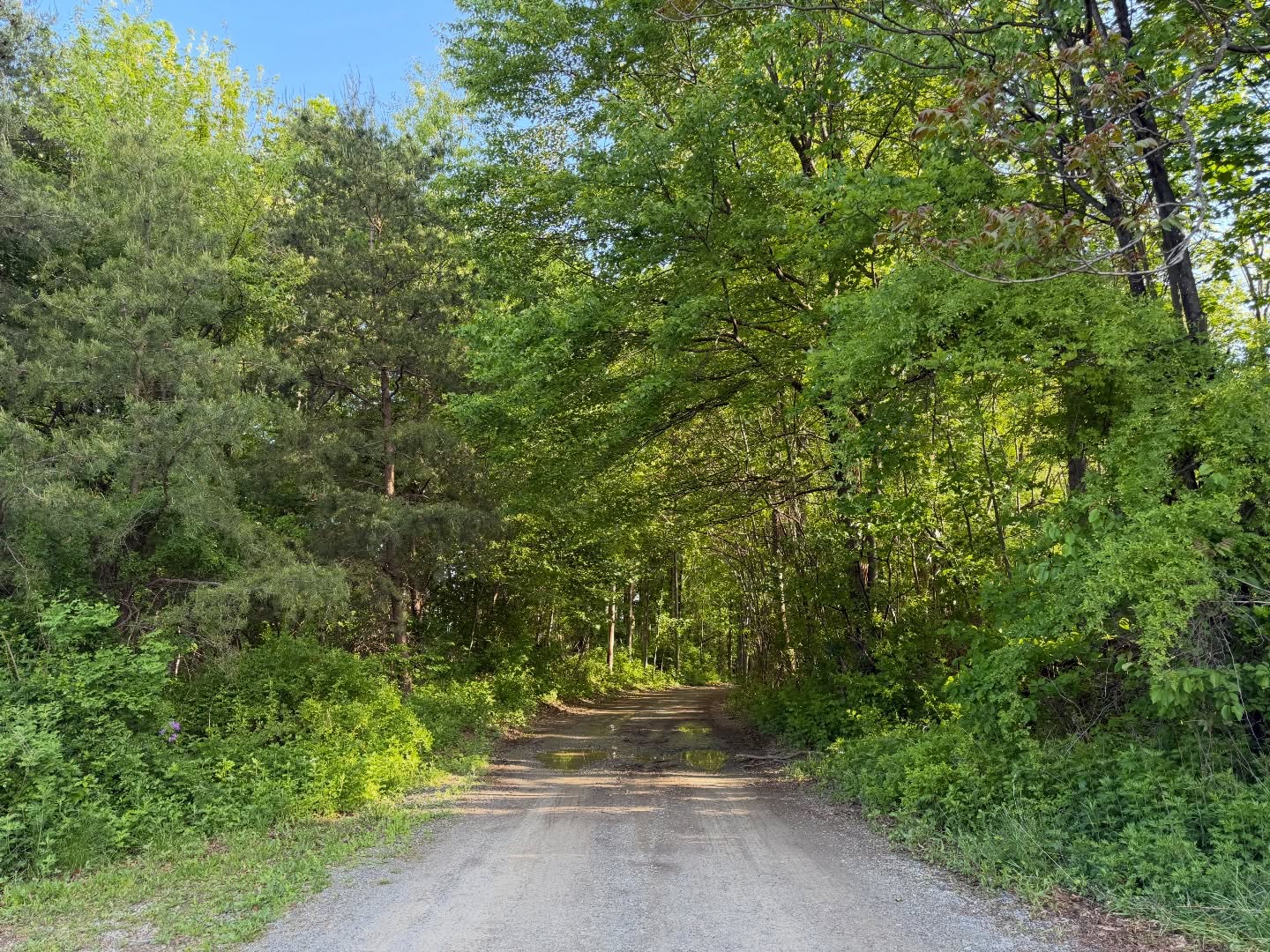 Finished up our Friday with a road clearing #wpm #willspropertymaintenance #chestercounty #pennsylvania
