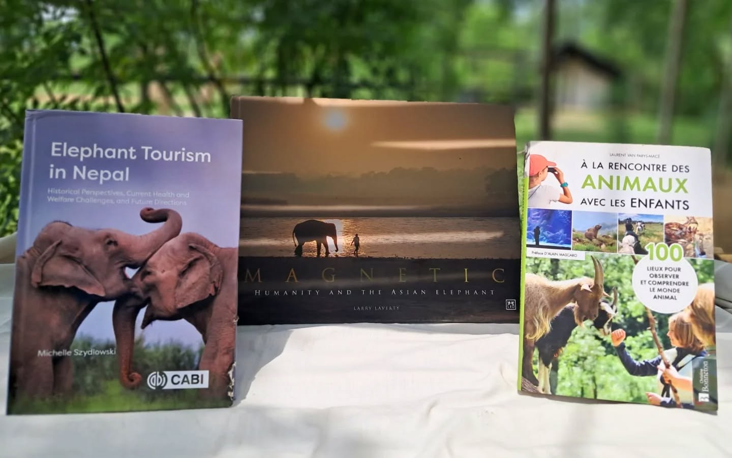 🇫🇷 Des livres qui parlent d'éléphants… et qui nous touchent droit au cœur 🐘📚
Parmi les parutions qui évoquent l'univers des éléphants, trois ouvrages ont retenu notre attention — et ils parlent de nous !
📖 Elephant Tourism in Nepal de Michelle Szydlowski — un regard lucide et nécessaire sur le tourisme aux éléphants au Népal, ses réalités, ses enjeux, et les efforts pour faire mieux.
📖 À la rencontre des animaux de Laurent Van Parys Macé — un beau livre pour les enfants et les familles, qui invite les plus jeunes à découvrir le monde animal avec tendresse et curiosité.
📖 Magnetic de Larry Laverty — une œuvre qui capture la puissance magnétique de ces géants, entre art et contemplation.
Et bien sûr… Stand Up 4 Elephants y figure aussi 🌿 Chaque page tournée est une occasion de sensibiliser, d'informer, et de rappeler que ces êtres extraordinaires méritent notre respect et notre protection.
Merci à ces auteurs de porter la voix des éléphants du Népal. 🙏
🇬🇧 Books that speak of elephants… and speak straight to the heart 🐘📚
Among publications shining a light on the world of elephants, three books caught our attention — and they features us!
📖 Elephant Tourism in Nepal by Michelle Szydlowski — a thoughtful and necessary look at elephant tourism in Nepal, its realities, its challenges, and the work being done to change things for the better.
📖 À la rencontre des animaux by Laurent Van Parys Macé — a beautiful book for children and families, inviting the youngest readers to discover the animal world with wonder and warmth.
📖 Magnetic by Larry Laverty — a work that captures the raw, magnetic power of these giants, somewhere between art and meditation.
And of course… Stand Up 4 Elephants is featured too 🌿 Every page turned is a chance to raise awareness, share knowledge, and remind the world that these extraordinary beings deserve our deepest respect and protection.
Thank you to these authors for giving elephants in Nepal a voice. 🙏