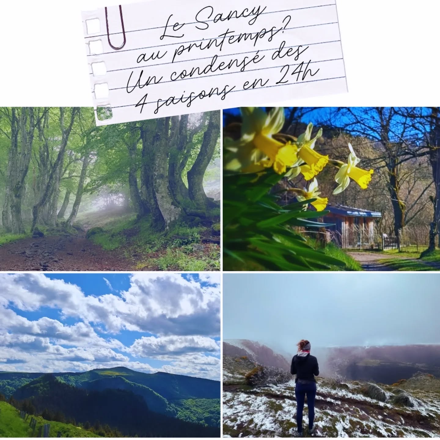 "MAIVRIL" : période oú l'on peut, en une journée, avoir un aperçu des quatres saisons : c'est vivifiant parfois, mais on adore ce moment magique dans notre beau massif 🤩
#Sancy #instantpresent #slowlife #naturelover❤️