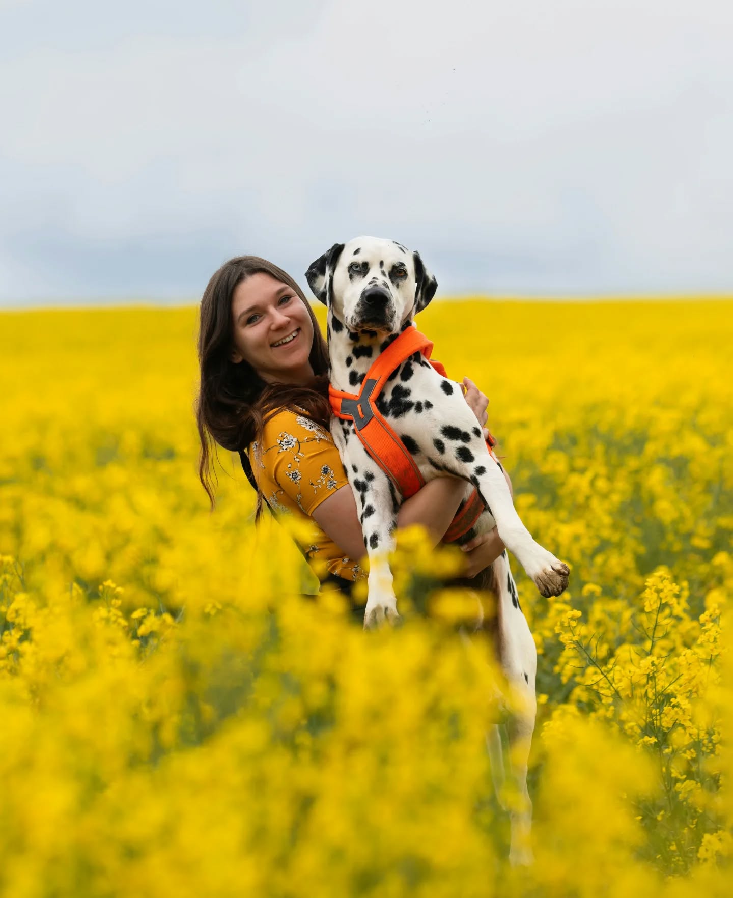 Happy Mother's Day to all of the moms out there! From fur moms, to human moms, to the moms yet to be, today we celebrate you and the joy and love you pour into this world 💛💐🐾
