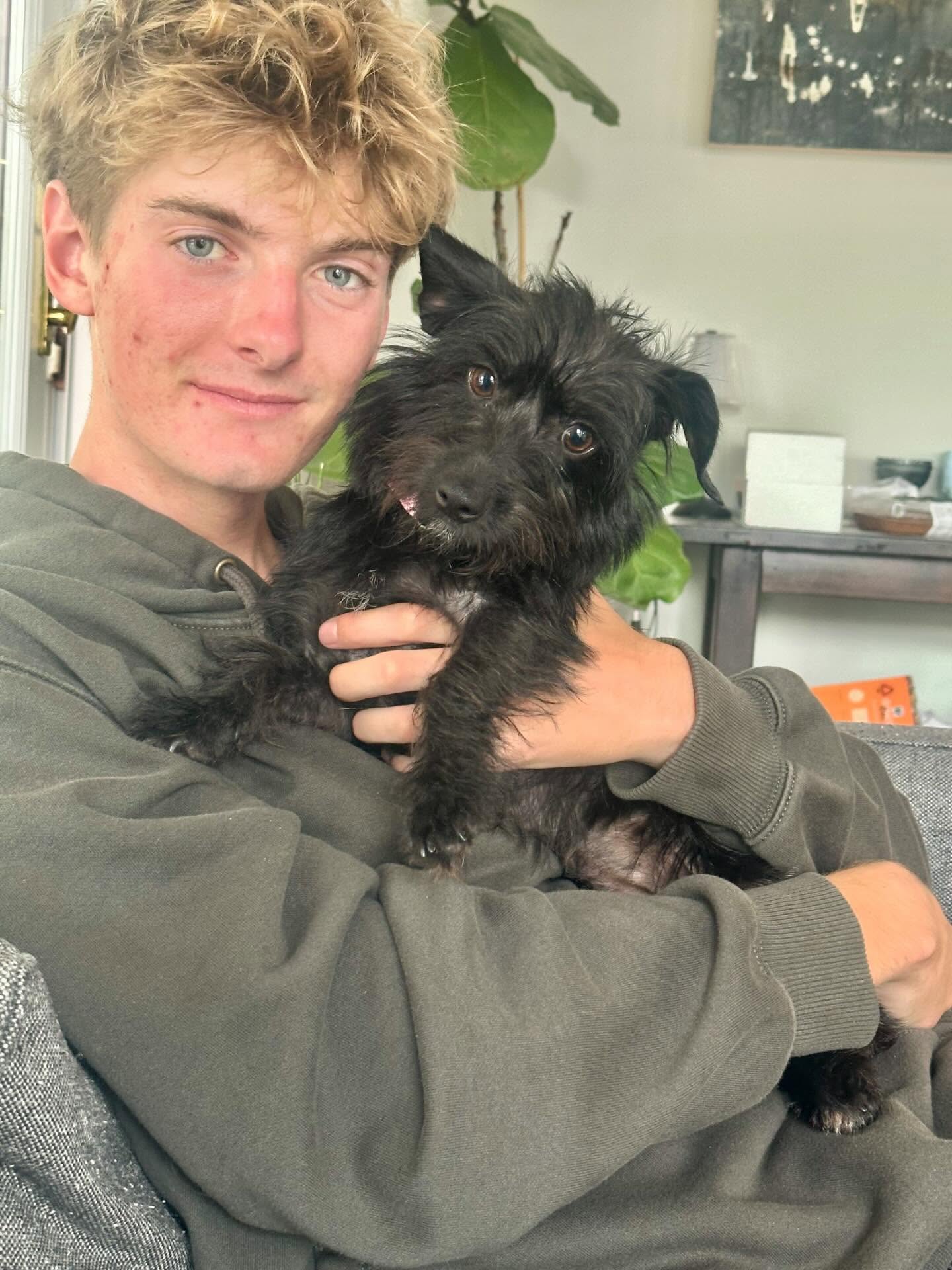 Our precious little Nellie was adopted last week and her family just sent us this. π
Nellie needed some time to come out of her shell and we are so happy she is learning to trust and love and feel happy & safe. She is now letting her family hold her and give & receive love. That's a big step when yo're a little girl in such a big, new world!
Her sweet little brother Lucca is still available and he is just as adorable as she is!
#tinywirehairedterriers #tinydogsrock #fyp #adoptdontshop #almarescue