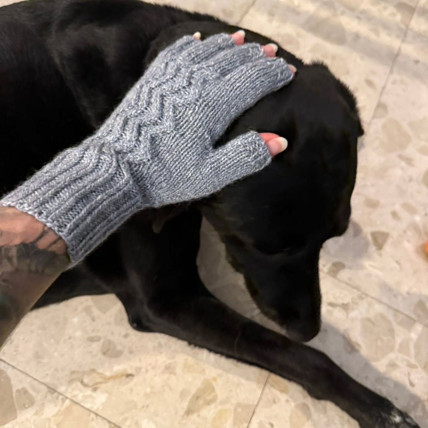 The journey is finally complete! 🥳
This is the last version of the Rhythmic Pulse gloves pattern, which will include three different options:
☝️Full fingers for maximum warmth.
☝️Fingerless for easy movement
☝️Half-fingers for the best of both worlds (shown in the photo)
These gloves were created to perfectly accompany the Rhythmic Pulse vest, making them the ideal matching set for your handmade wardrobe.
The yarn is @artisanfibres Sport in the lovely color Silver Lining
And the dogs seem to love it 🤩
Stay tuned for the drop next week!
#KnitOfTheDragon #knittingaccessory #RhythmicPulse #HandKnitted #GlovePattern