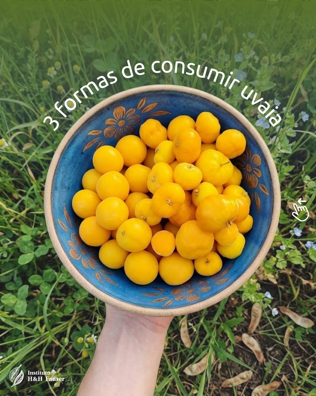 A uvaia é uma fruta nativa da Mata Atlântica cheia de possibilidades. 🍃
Seu aroma intenso e sabor marcante combinam com receitas doces, preparos artesanais e até bebidas.
Para te inspirar, reunimos algumas formas diferentes de consumir essa fruta tão especial da nossa biodiversidade. 💚
Você já conhecia a uvaia? Qual dessas opções você experimentaria primeiro? Conta pra gente nos comentários 👇
#ihhf #uvaia #mataatlantica #frutasnativas #ong