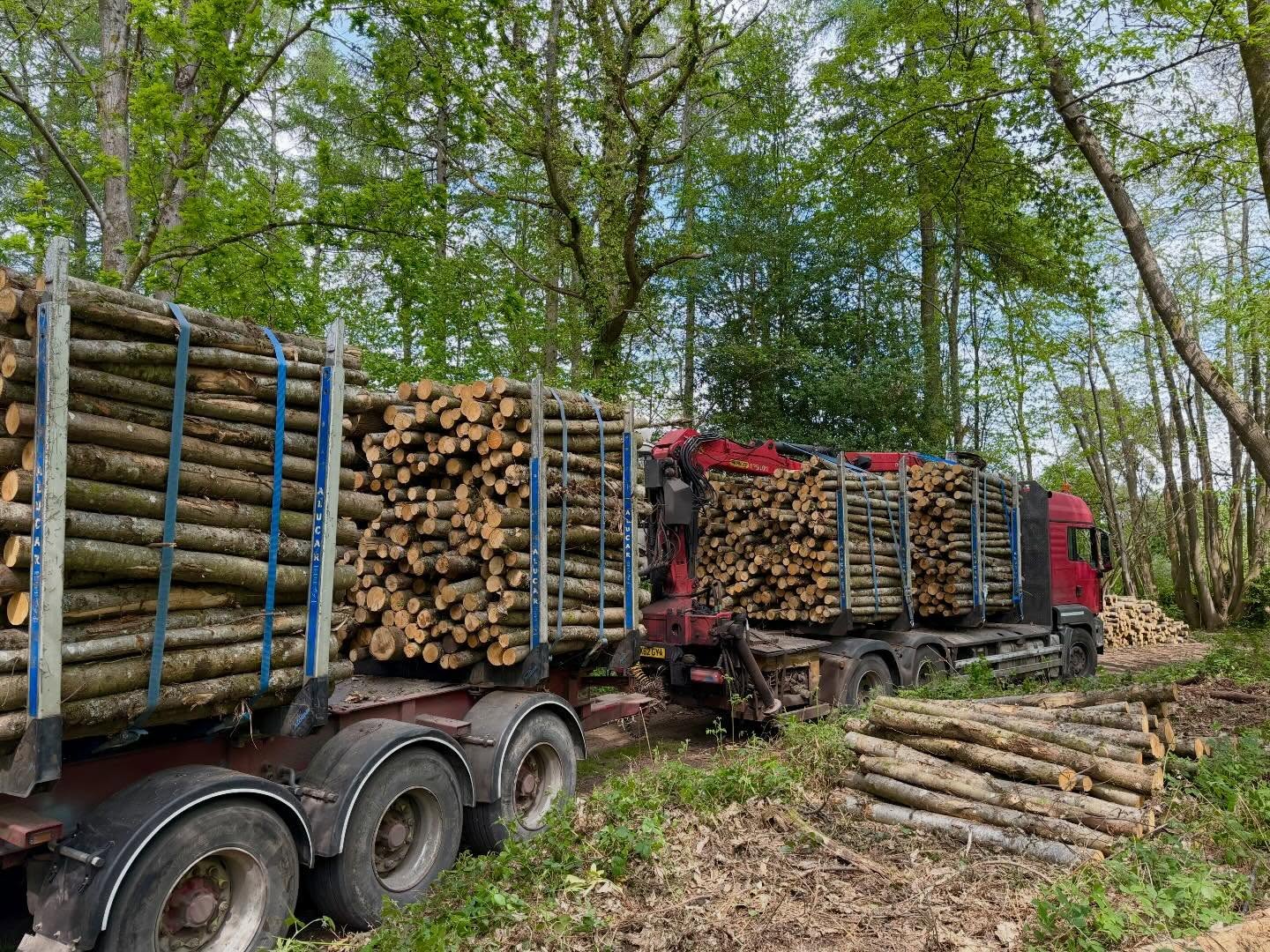 A snapshot of our busy and varied week @wallacetimberservices for our wagon & drag timber lorry 🌲🚛
A truly versatile setup — perfect for accessing tight areas, with or without the trailer attached. Our powerful Palfinger Epsilon Q150L high cab delivers exceptional lifting capability, handling heavier timber loads than many standard timber lorries with ease.
That extra lifting power is essential for the wide range of timber haulage and extraction work we undertake across different sites and conditions. 💪🌿
If you’re looking for reliable timber haulage or extraction services, feel free to get in touch — we’re always happy to help.
Info@wallacetimber.co.uk
07775834129
01428727799
Instagram - wallacetimberservices
#arboristsofinstagram #timberhaulage #grapplesawtruck #timber #contracthire