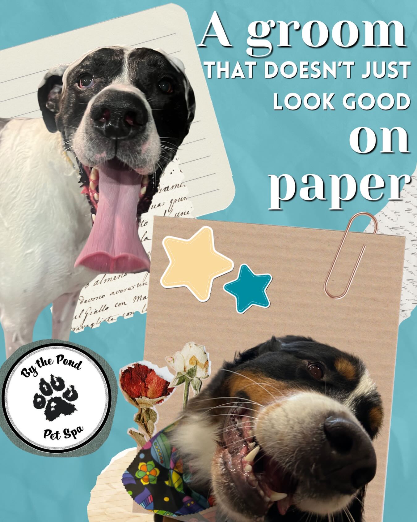 Write this down, it’s important 📝
We’re always accepting new clients! Text or call us to book in: 519 241-1552
#doggroom #doggroominglife #cambridgeontario #dogsofinstagram #groomingday🐶✂️🛁