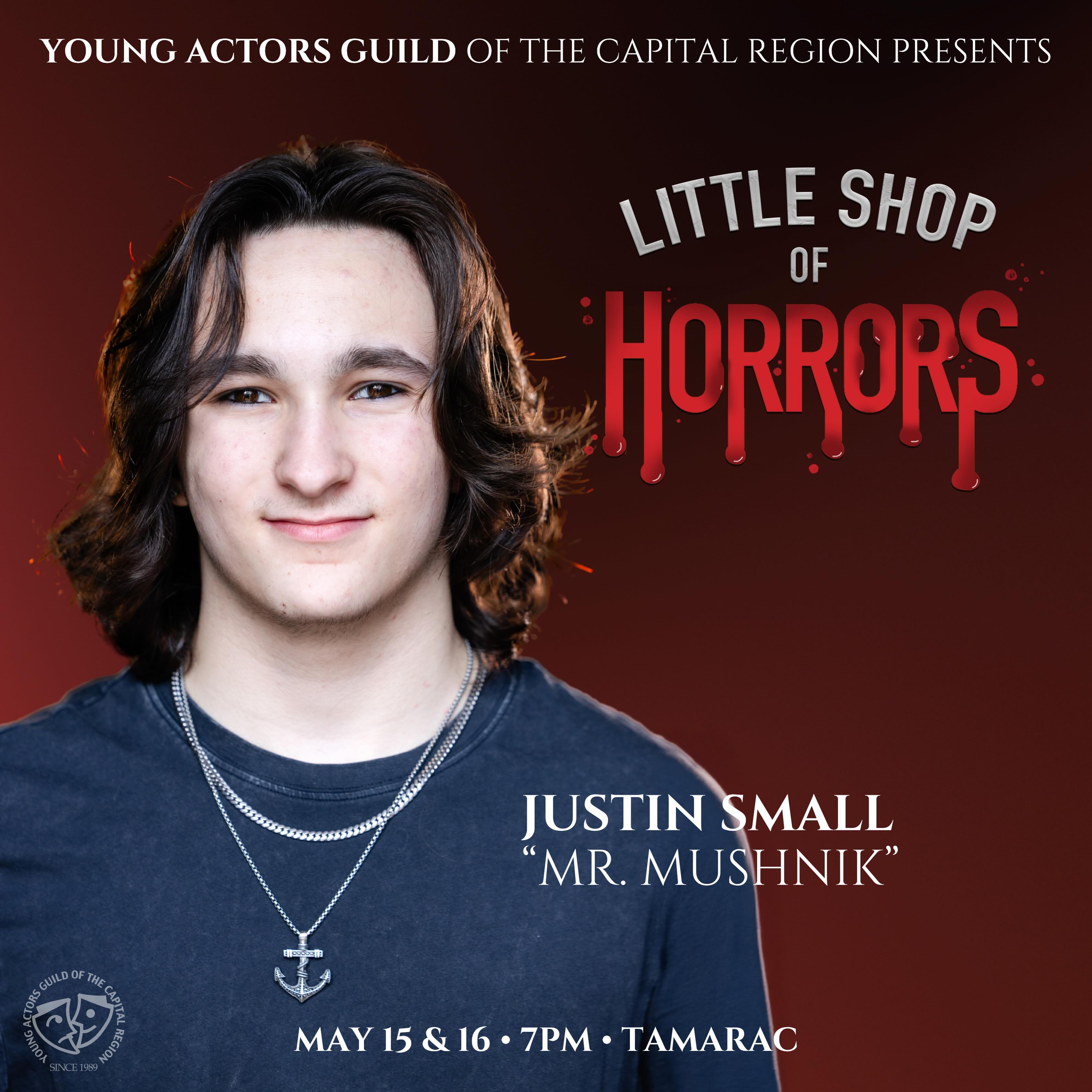 Meet our cast!
Justin Small is ecstatic to be in his first show with Young Actors Guild as Mr Mushnik. Being in 10th grade at Colonie Central High School, his previous productions include, Mamma Mia (Harry Bright), Marry Poppins (Robertson Ay and Von Hussler), Into the Woods Jr ( Baker) and many more. He is grateful to Young Actors Guild for being a welcoming and supportive community, and for giving him the opportunity to perform for them in this production.