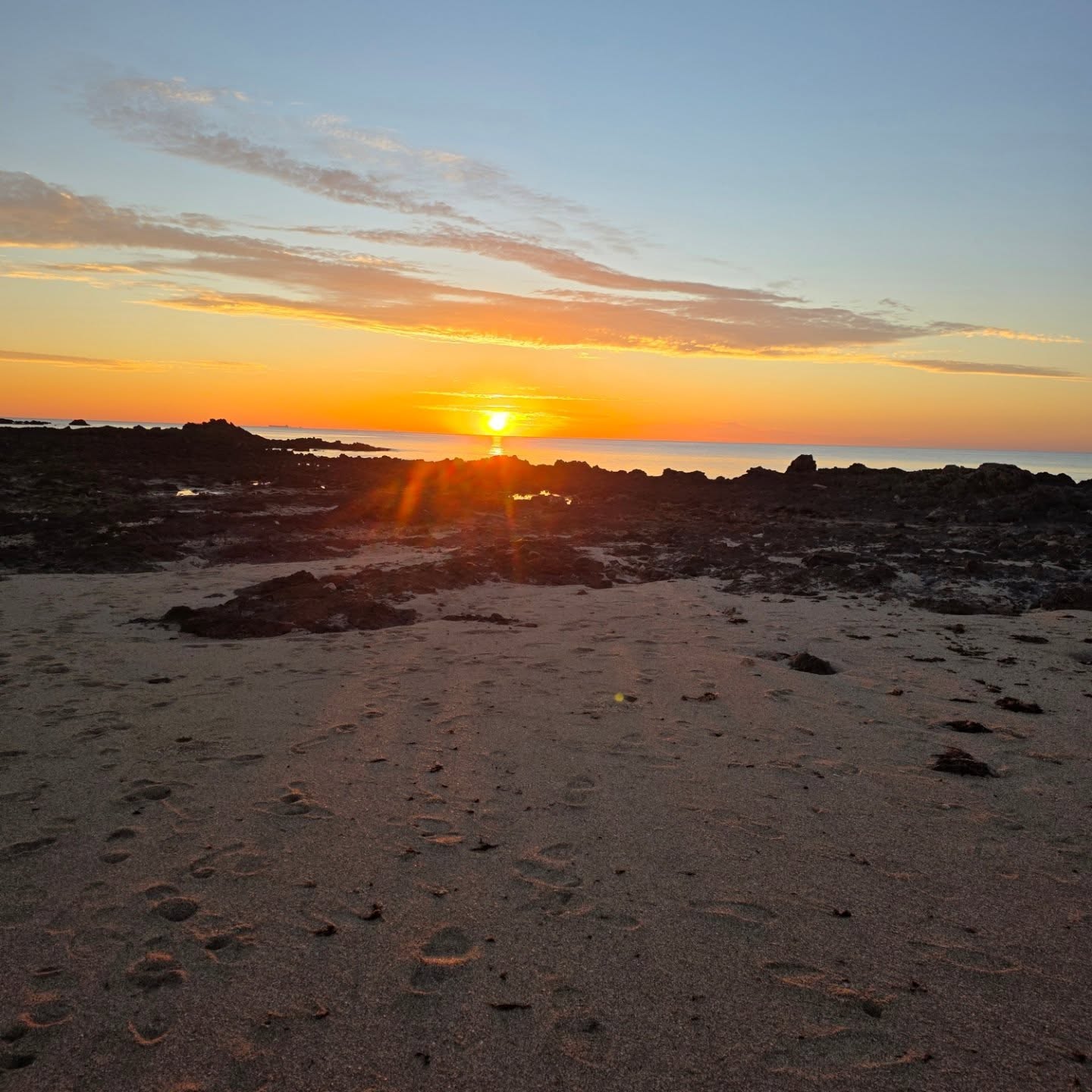Hubby and I went on a sunrise walk this morning and it was so relaxing! No rush. Just the casual enjoyment of what the beach has to offer.