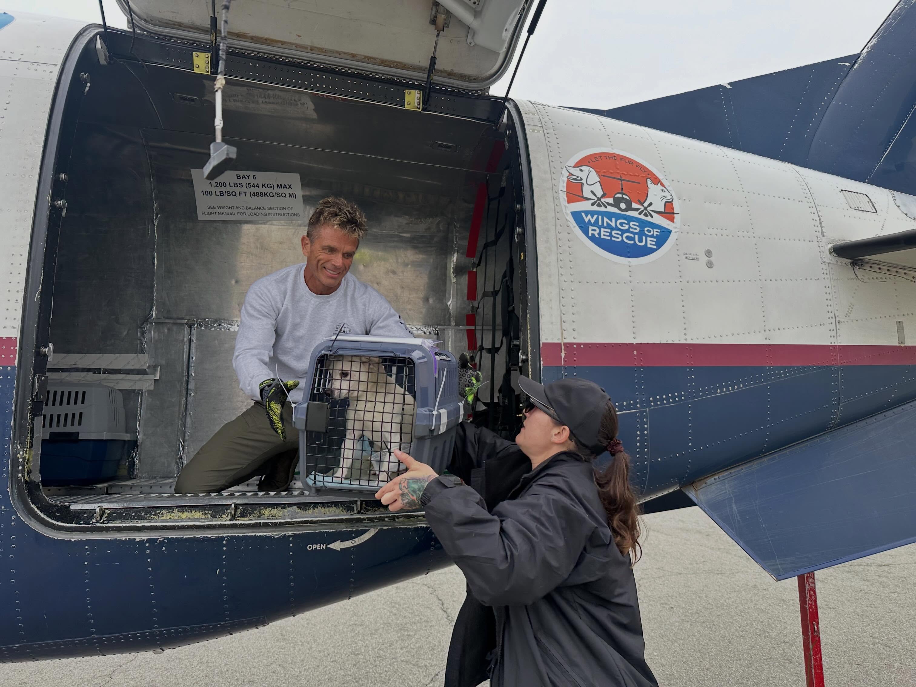 ✈️ This week alone, flights from California, Houston, Dallas, and Fort Lauderdale will move hundreds of pets toward safety and entirely different futures.
Puppies. Kittens. Dogs and cats who simply needed more time, more space, and another opportunity.
This is what large-scale lifesaving looks like in real time.
And while the flights are emotional to watch, the reality behind them is much bigger: pet overpopulation continues to overwhelm shelters across the country.
Thank you to every person helping keep these missions moving through support, shares, advocacy, and partnership.
If your company, foundation, or organization is interested in helping expand this work, we would love to connect.
Learn more. Link in bio.
#LetTheFurFly