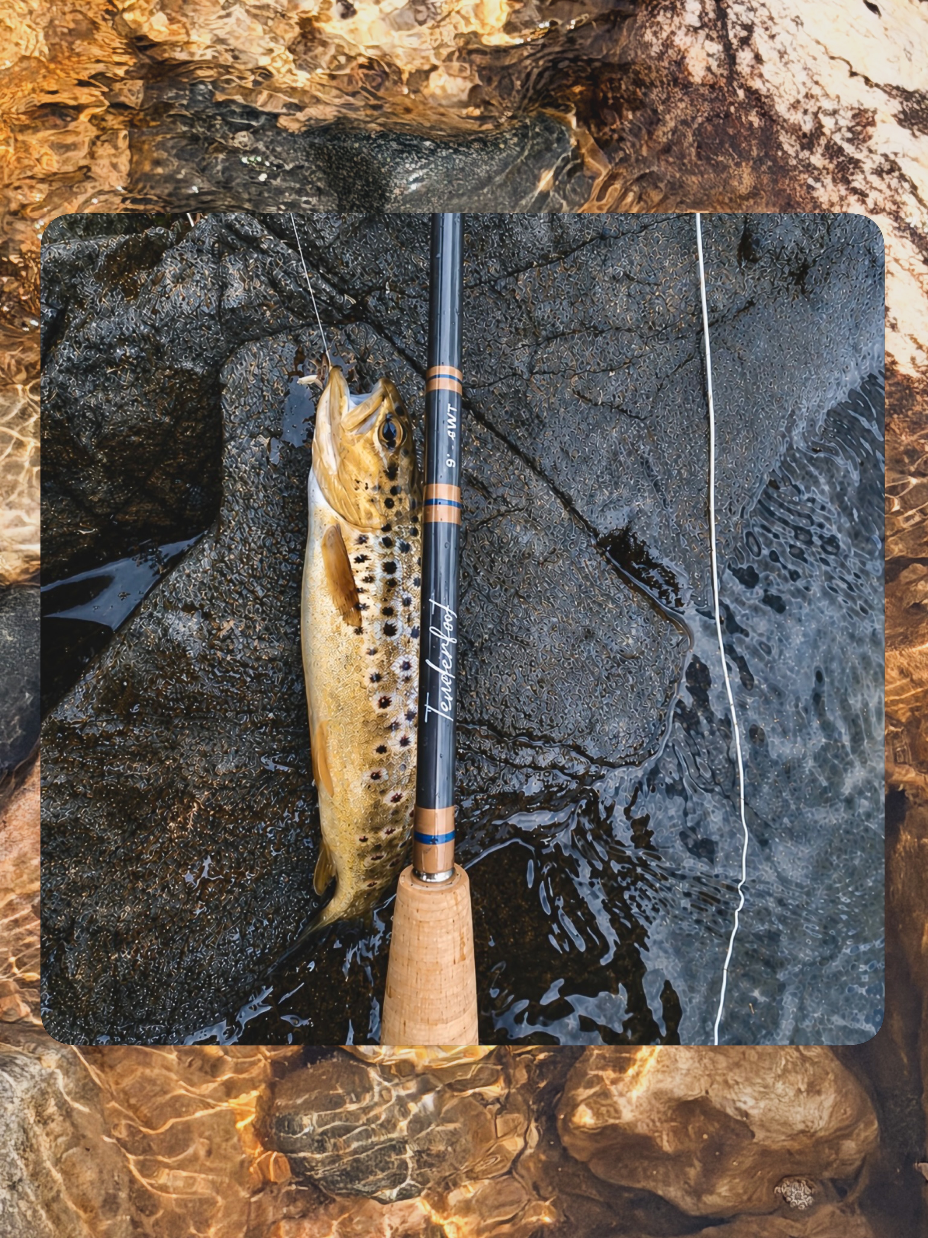 Native brown trout from the waters of Ireland 🇮🇪
Caught by friend and JBTU board member Tom Coleman with a Sullivan 4-wt Tenderfoot. Exactly what that rod was made for. 🎣
We love seeing our rods out in the world! We’re very thankful for you guys and your pictures! Keep them coming 🍻