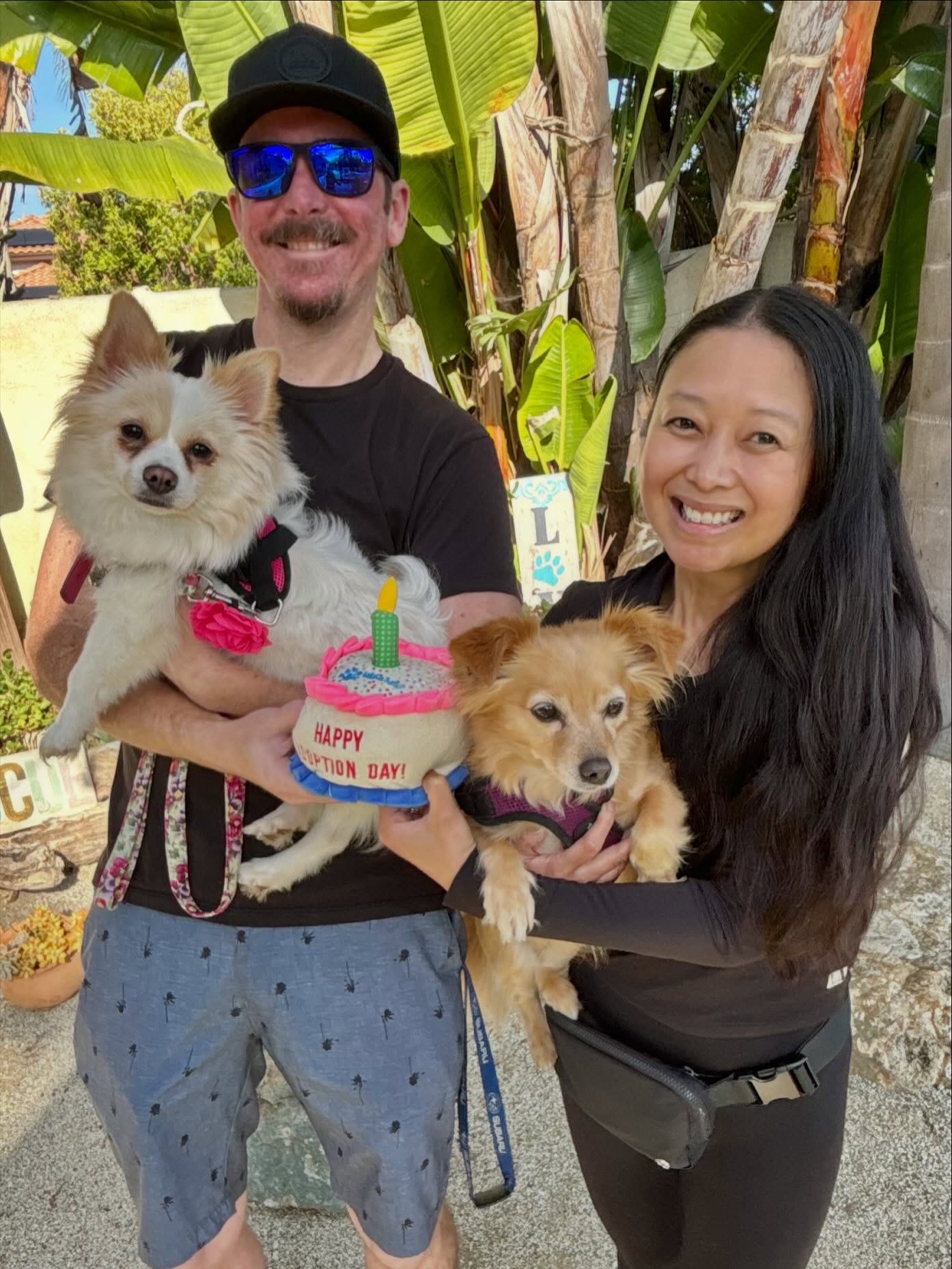 Our adorable little Fendi got her Happily Ever & now has her very own family and fur sister! π
#pomeranianlove #tinydogsrock #rescuedisourfavoritebreed #adoptdontshop #almarescue