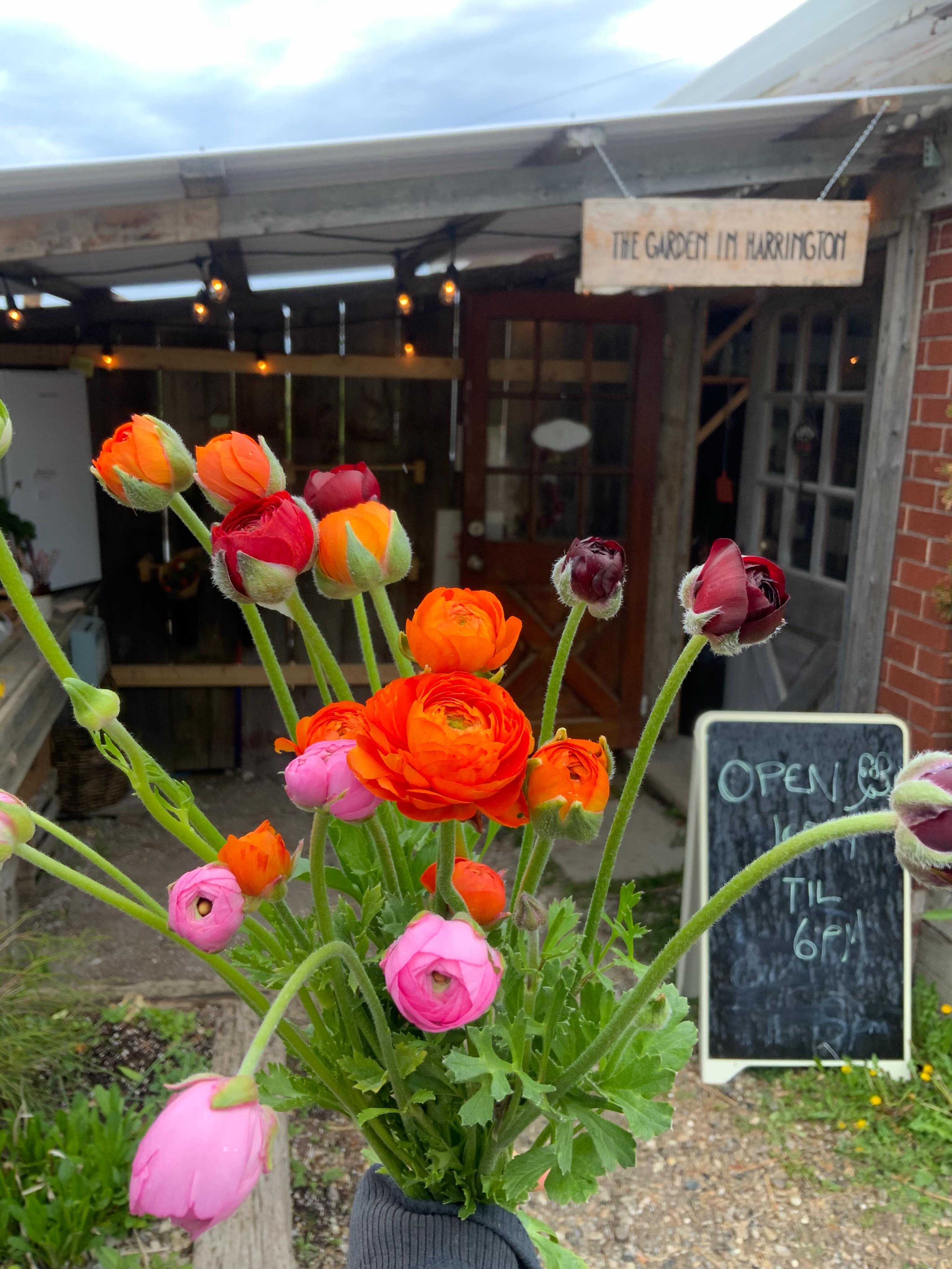 The farm stand is restocked!!
Pop by for beautiful farm fresh flowers and eggs.
Open Friday - Sunday 10am-6pm #flowers #farmfresh #eggs #open #farmstand