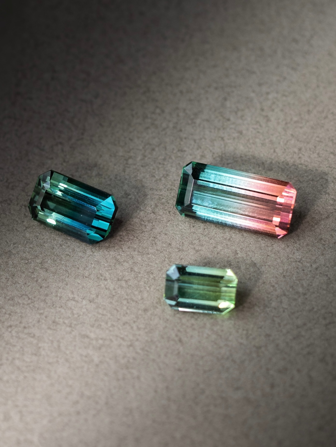 Like fragments of spring and autumn held within a single stone, Bi-colour Tourmalines have always been one of our favourite gemstones at FUJIMORI KAJITA.
Formed naturally over time, each gem carries a unique blend of colours — no two are ever alike. From soft transitions to striking contrasts, they remain one of nature’s quiet wonders to us.
At this year’s The Annual Gem Affair, Colours & Cuts, discover a selection of Bi-colour Tourmaline jewellery pieces alongside loose gemstones specially chosen for their individuality and beauty.
We invite you to explore the expressive world of coloured gemstones with us at the event.