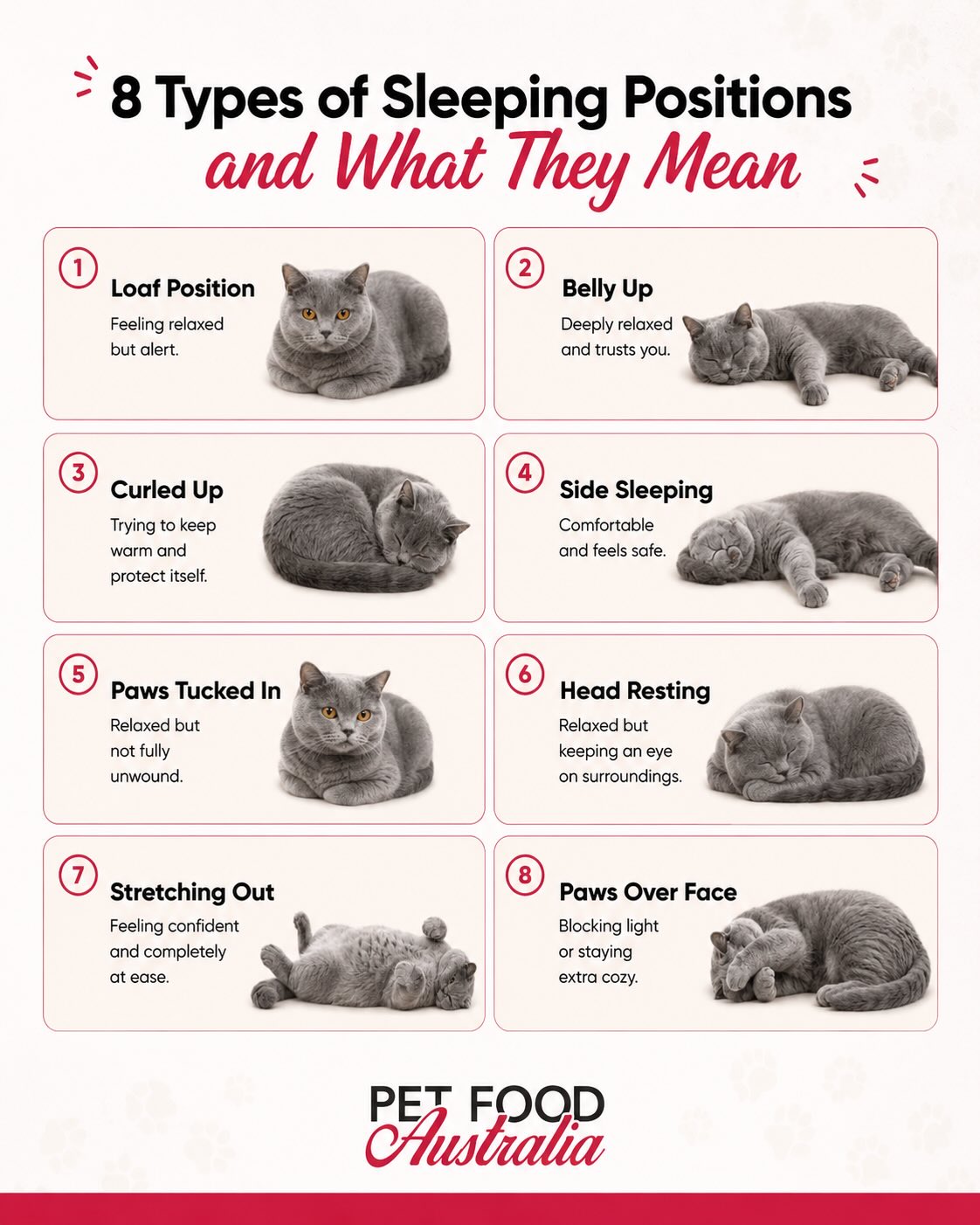 🐱 Ever wondered what your cat’s sleeping position says about them?
From loaf mode to belly-up naps, every pose tells a little story about comfort, trust, and personality 💭✨
And while they dream peacefully… make sure they’re fueled with premium nutrition 🥩🌿
Our Multi Protein Cat Formula is packed with natural ingredients, hemp seed oil, and everything your cat needs to stay healthy and happy.
💗 Grain Free
💗 Rich in Protein
💗 Australian Made
💗 With Hemp Seed Oil
Because better sleep starts with better nutrition 🐾
#PetFoodAustralia #CatCare #CatLovers #HealthyCats #CatFood CatsOfInstagram PetNutrition AustralianMade CatLife PetFoodAustraliaUAE