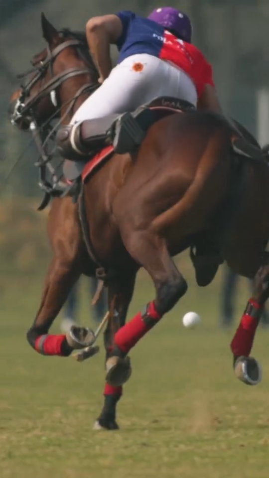 Grass Torn. Goals Earned.
.
.
#JaipurPolo #SeasonMemories #PoloVibes #RPC