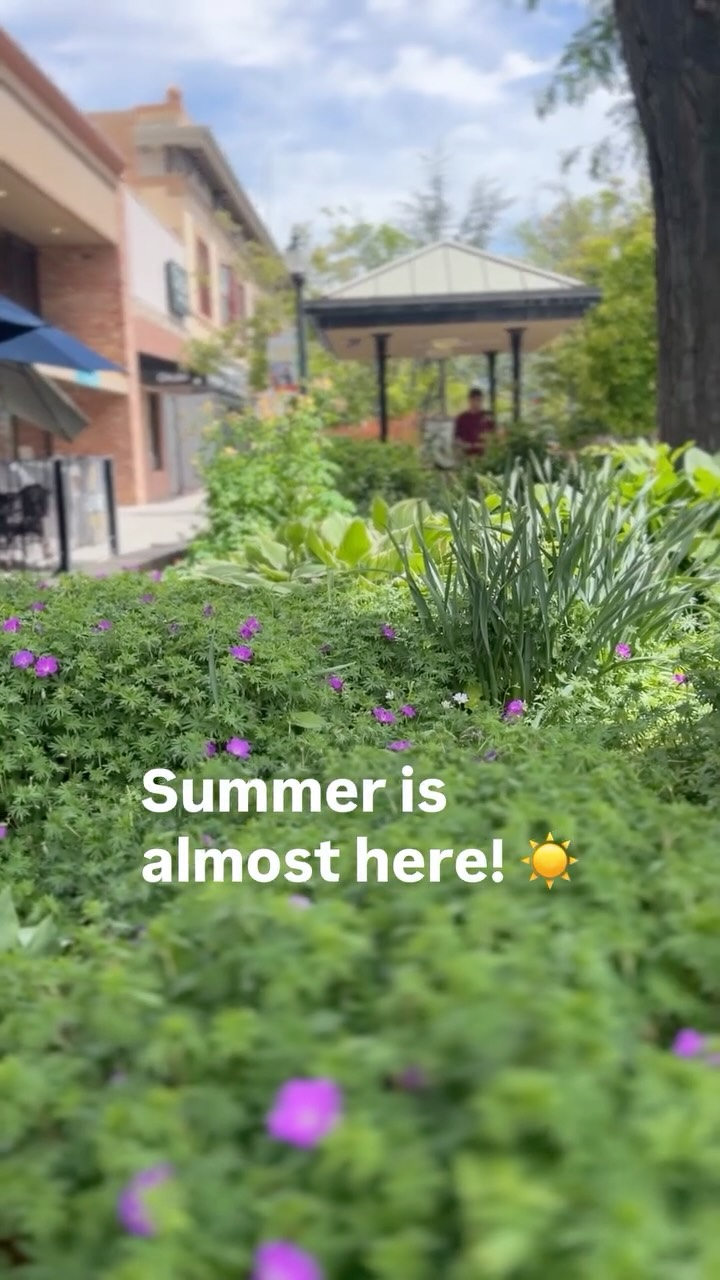 Summer’s nearly here!
GGE’s had a lot of fun things coming in just for this season.
Come + see!
#nearlysummer
#buyglobalgivelocal
#peopleoverprofit
#grandjunctioncolorado
#downtowngrandjunction