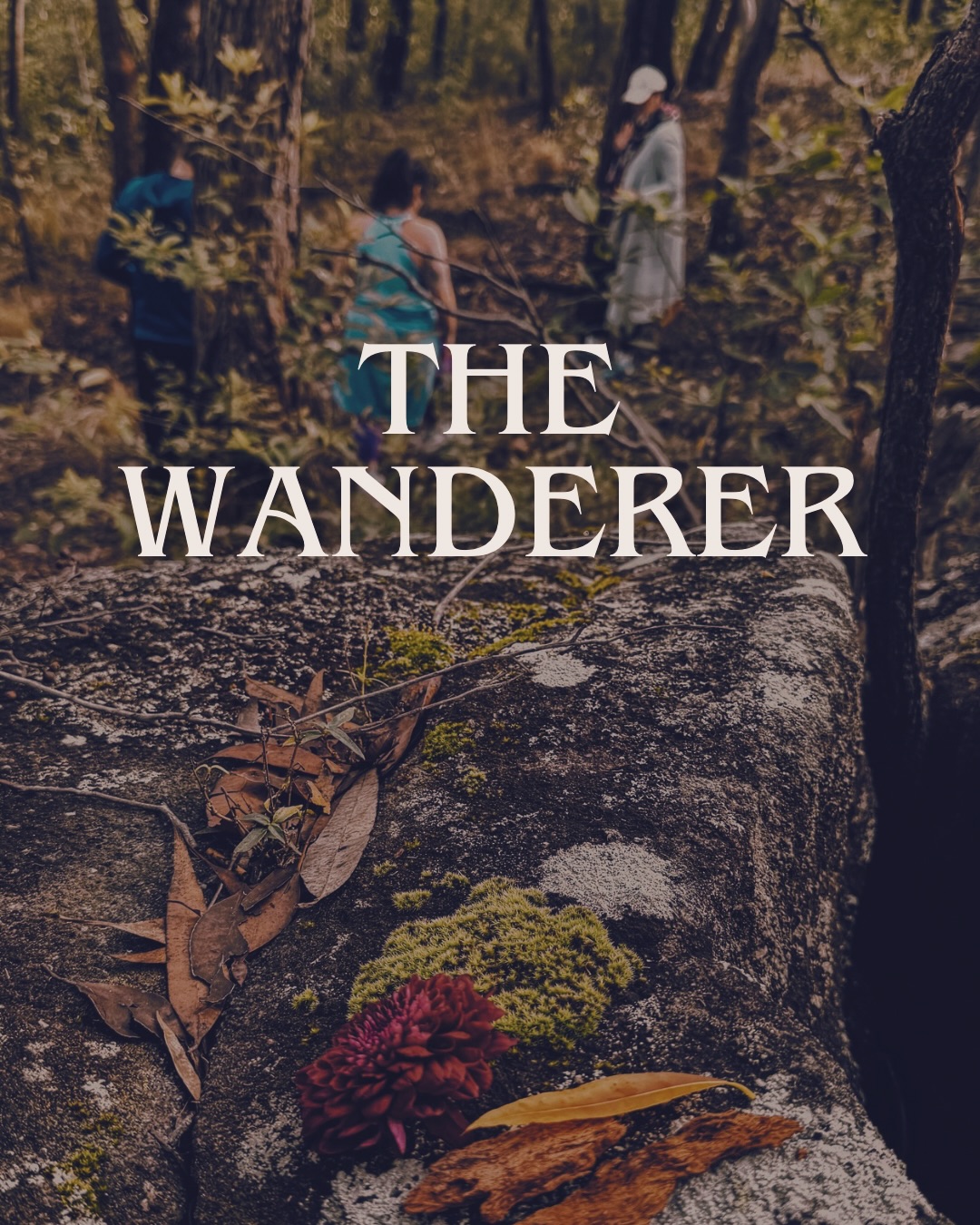 The Wanderer. 17/05/2026
Magical.
This wander carried a strong contemplation: We can do hard things… but we are equally made for gentle things.
So often we are taught that strength looks like pushing through.
Keep going.
Keep carrying.
Get back up.
Hold it together.
Be resilient.
Be productive.
Don’t stop.
And while there is power in this…sometimes we become so familiar with “hardness”that we begin expecting life itself to always feel hard.
We send that energy outward…and often receive it back in return.
This Wander invited us to contemplate another way.
A softer way. A spacious way. A way that still honours strength….but no longer mistakes struggle for worthiness.
Thank you to the mother white gum tree. Thank you to the gathering rocks.
Thank you to the women who wander.