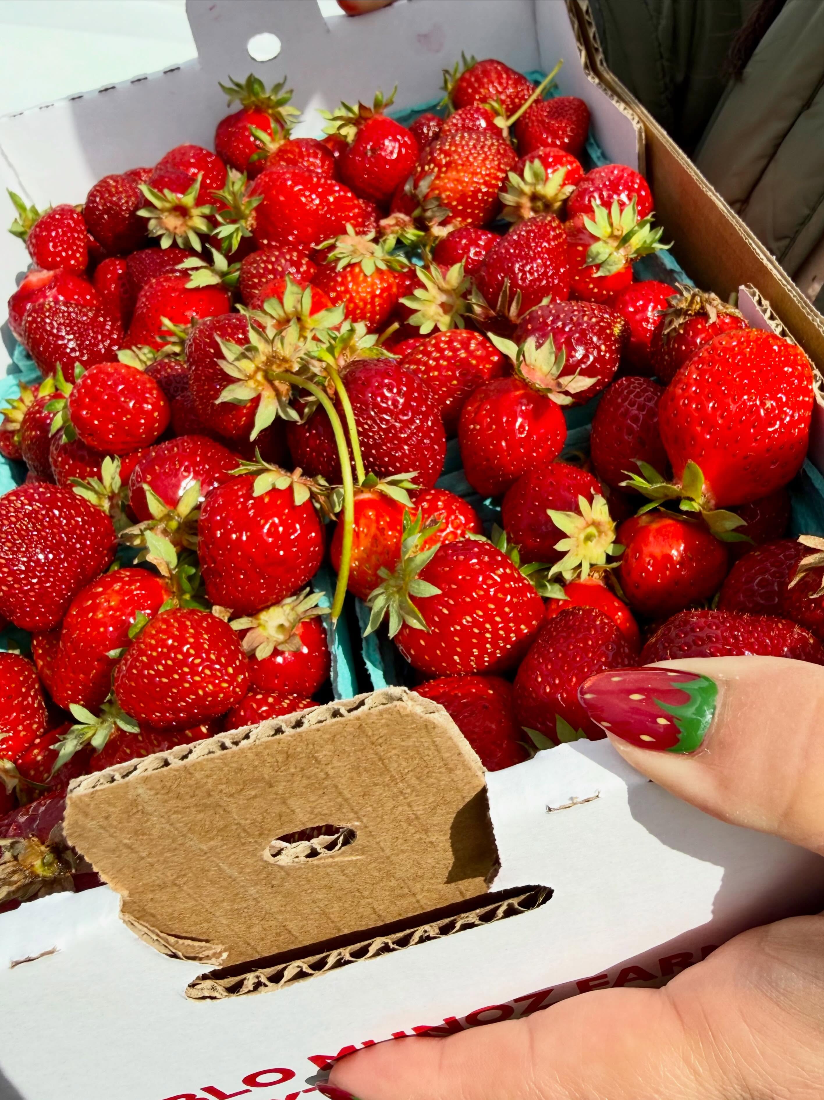 Spent the most beautiful Sunday morning at the @hillsdalefarmersmarketpdx today ☀️🍓
With strawberries on my mind, we had to stop by @pablomunozfarms for the juiciest, sweetest berries.
For a little pick-me-up, we grabbed drinks from @kokomobilecafe and @bhaktealove — @kokomobilecafe uses local espresso and fun Filipino-inspired flavors to make a perfect treat, while @bhaktealove feels like a warm hug for your stomach. 💛
And to finish the morning, we satisfied a craving for kimchi fried rice with a stop at @gdkimbap 😋
#hillsdalepdx #shoplocal #shopsmall #portlandoregon #farmersmarkets