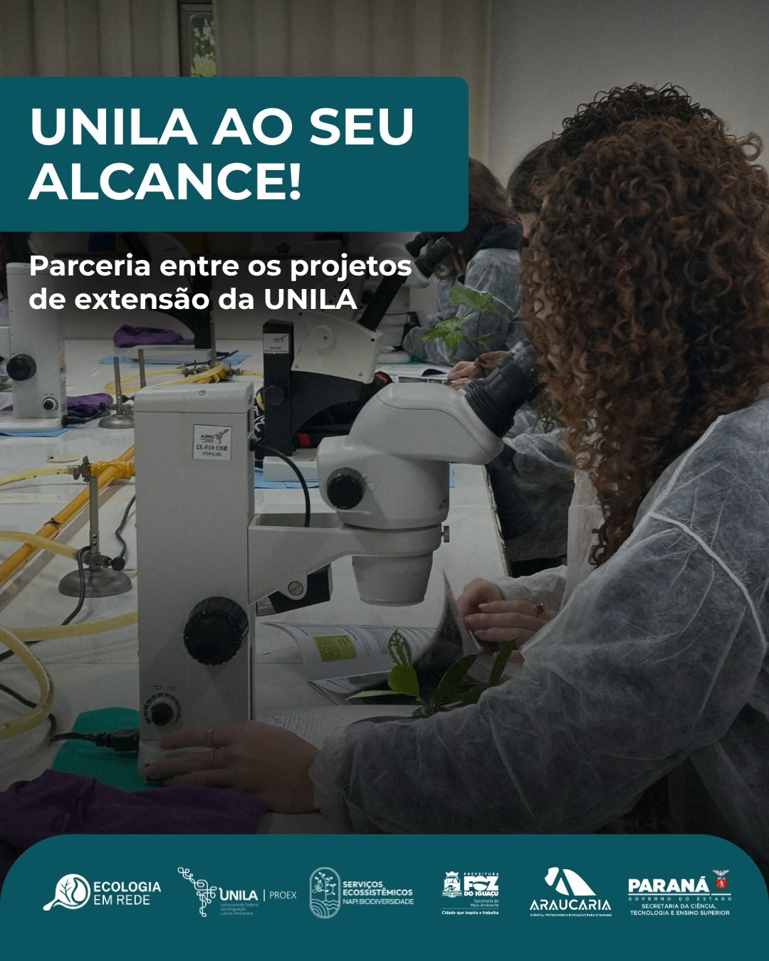 Na última terça-feira (12), realizamos a primeira atividade em parceria com o projeto de extensão “UNILA ao seu alcance”, coordenado por Rafael Franca Palmeira. O projeto busca aproximar os estudantes do ensino médio à universidade pública, apresentando as oportunidades oferecidas pela UNILA e incentivando o acesso ao ensino superior. 📚🌎
Durante a visita, os alunos conheceram os laboratórios de ensino e participaram de uma atividade prática da iniciativa “Invasoras à Vista!”. Utilizando o guia de campo, os estudantes identificaram espécies de plantas exóticas invasoras presentes na região, aprendendo sobre suas características, formas de reconhecimento e os impactos que essas espécies podem causar aos ecossistemas locais. 🌱⚠️
Foi um momento de troca de conhecimentos, aproximação com a ciência e conexão com a biodiversidade da nossa região. 💚🌍
📩 Quer participar da atividade? Entre em contato pelo e-mail: plantasinvasorasunila@gmail.com