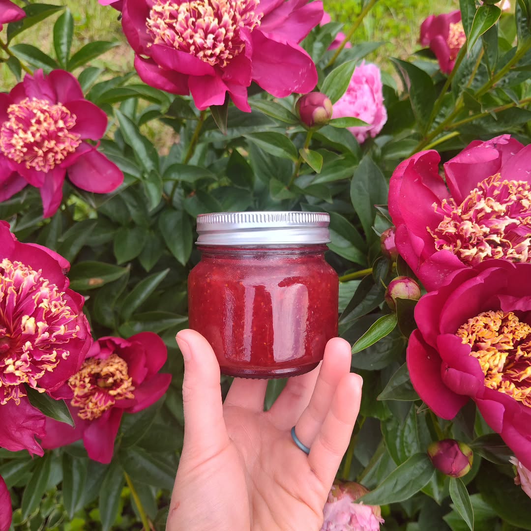 This strawberry jam was a gift we received yesterday from a little boy - his mom told me that he was sad about the blueberry patch and that we wouldn't be able to make blueberry jam this year so he hoped we'd like some of this strawberry jam he made instead 😭🫐❤️
It's moments like these that remind us that the world is a beautiful place 🥹
Although we have lost the bulk of our crop this year, we are hoping we'll have enough blueberries to open a little bit.
You can join our e-mail list at hobbithillfarm.com if you'd like updates and check out our pre-order sale in our online store to support the patch.
Hard seasons pass 🫐 Community lasts ❤️ We can't thank you all enough.
#harrisonburgva
#rockinghamcountyva
#pickyourown
#organic
#blueberries