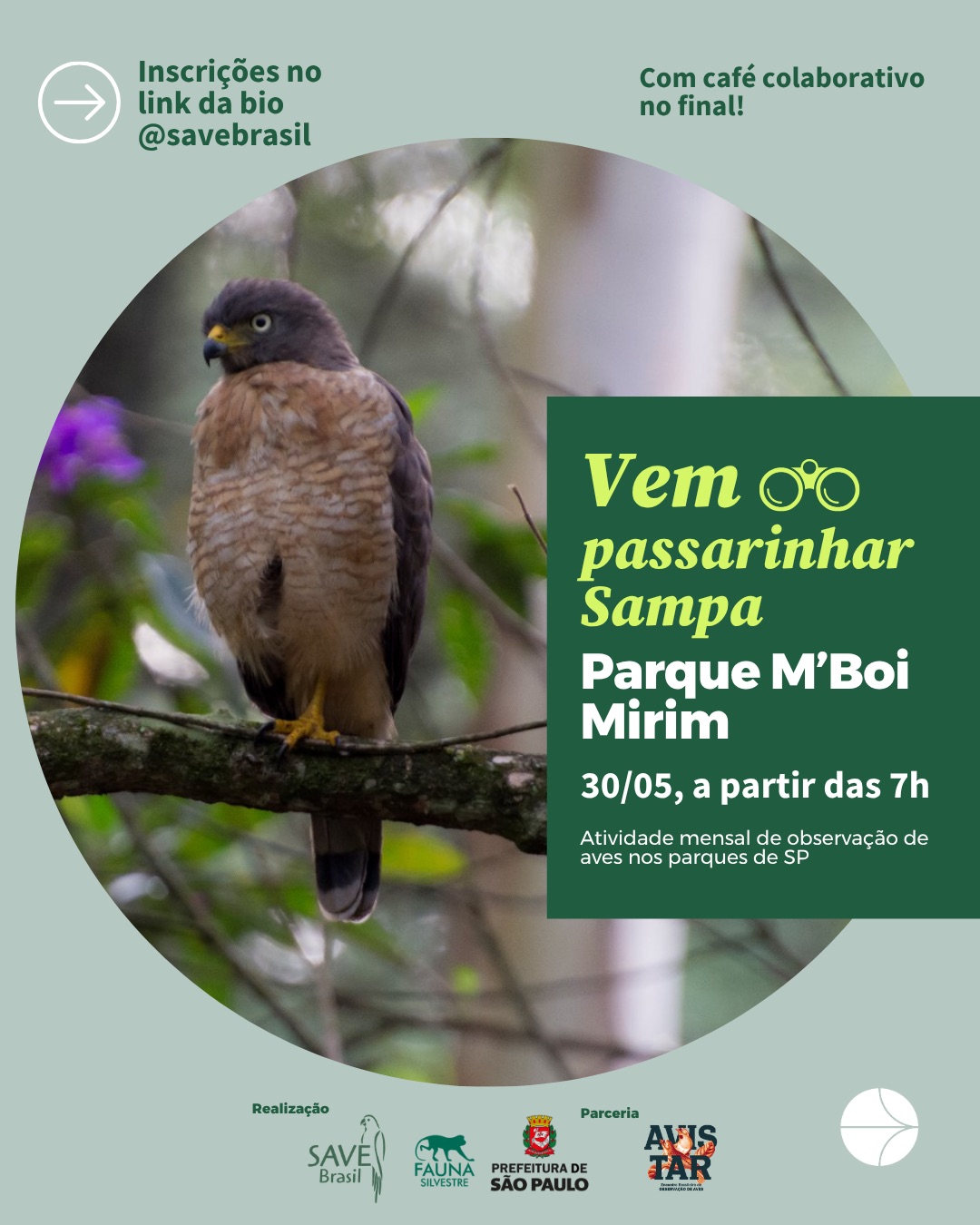 No sábado, dia 30/05, teremos mais uma edição do Vem Passarinhar Sampa, dessa vez no Parque M’Boi Mirim, a partir das 7h. Nosso café coletivo está garantido, assim como o Papo de Passarinho com Guto Carvalho, observar de aves, idealizador do @avistar e conselheiro da SAVE.
📍Ponto de encontro: Estrada do M’Boi Mirim, 7.100 - Jardim Angela, São Paulo - SP, 04948-030
🥾 Sobre a trilha
• Aproximadamente 2,5 km
• Nível difícil
• Piso irregular e subidas íngremes
👉 Recomendamos roupas leves, calçado confortável, repelente, protetor solar e garrafa de água.
IMPORTANTE:
- O parque não possui estacionamento interno e as vagas na rua são limitadas.
- Teremos van saindo da estação Pinheiros do metrô, com vagas limitadas. Caso precise da van, indique no formulário.
⚠️ Inscreva-se pelo link disponível na bio @savebrasil.
O Vem Passarinhar Sampa é uma iniciativa que promove saídas mensais e gratuitas para observação de aves nos parques municipais da cidade, com monitoria especializada, empréstimo de binóculos e produção de listas no eBird. A atividade é realizada pela SAVE Brasil e pela Divisão da Fauna Silvestre (DFS) da Prefeitura de São Paulo.
📸Marco Silva
#VemPassarinhar #ConservaçãoDasAves