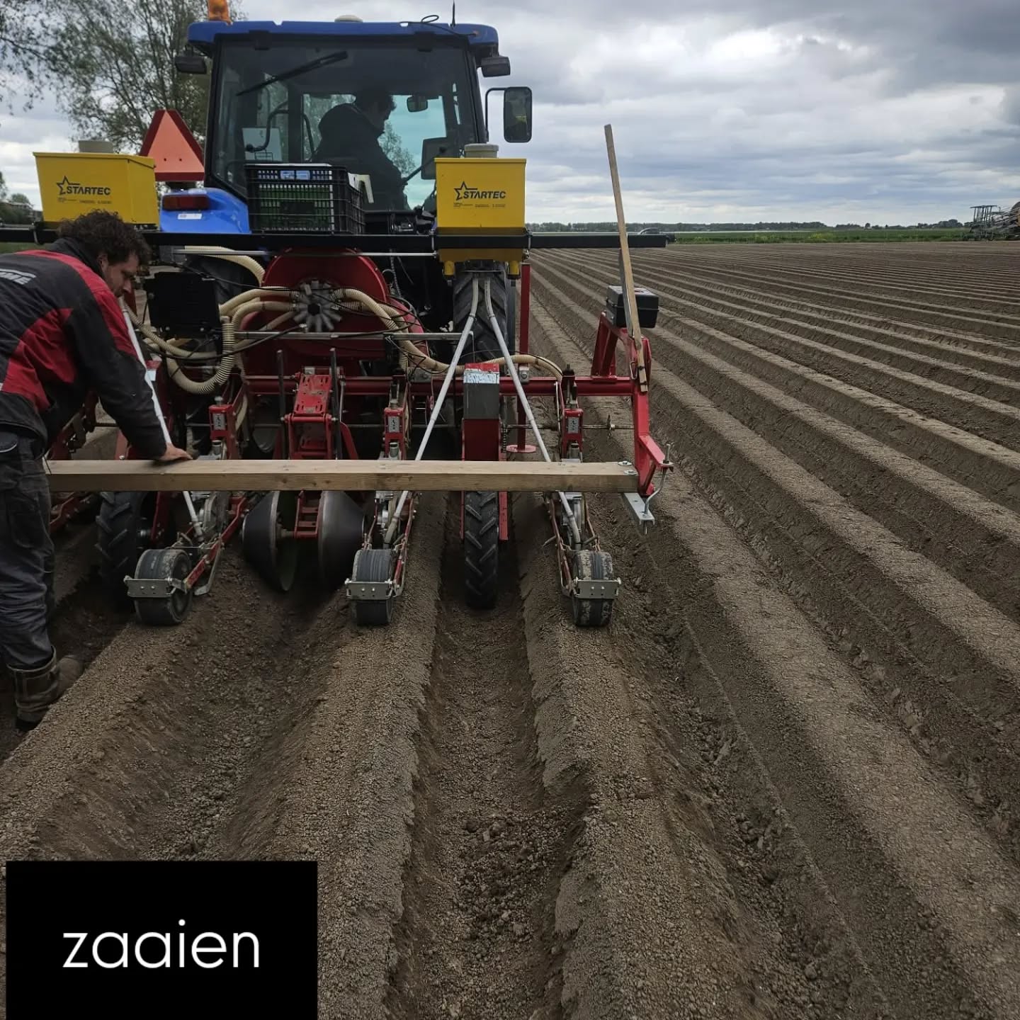 Peen🥕
We hebben afgelopen week een nieuw gewas (voor ons) gezaaid....wortelen.
Wortelen zaaien we op ruggen, die we eerst frezen en daarna bovenop een beetje vastrollen (net als bij de uien)
Bij de wortelteelt is het erg belangrijk dat je voldoende planten hebt, anders valt de opbrengst tegen, worden de wortels ongelijk van grootte, valt de opbrengst tegen en zijn ze lastiger te oogsten😯
We zaaien 1,8miljoen zaadjes op 1 hectare
en die hebben we gelijk beregend voor een goede opkomst🚿
Daarna viel in de afgelopen dagen de regen vanzelf.
Eind volgende week zouden ze boven moeten staan. We houden jullie op de hoogte🌱🌱🌱🥕
#hoekschewaardappel
#weetwatjeeet
#worteloogst2026
#onzeboerderij
#farmlife