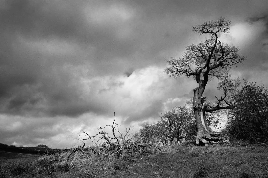 Breezy walk up to Durstone Farm - Mastin labs Kodak Tri-x #mastinlabs #bnwphotography #Herefordshire #pencombe