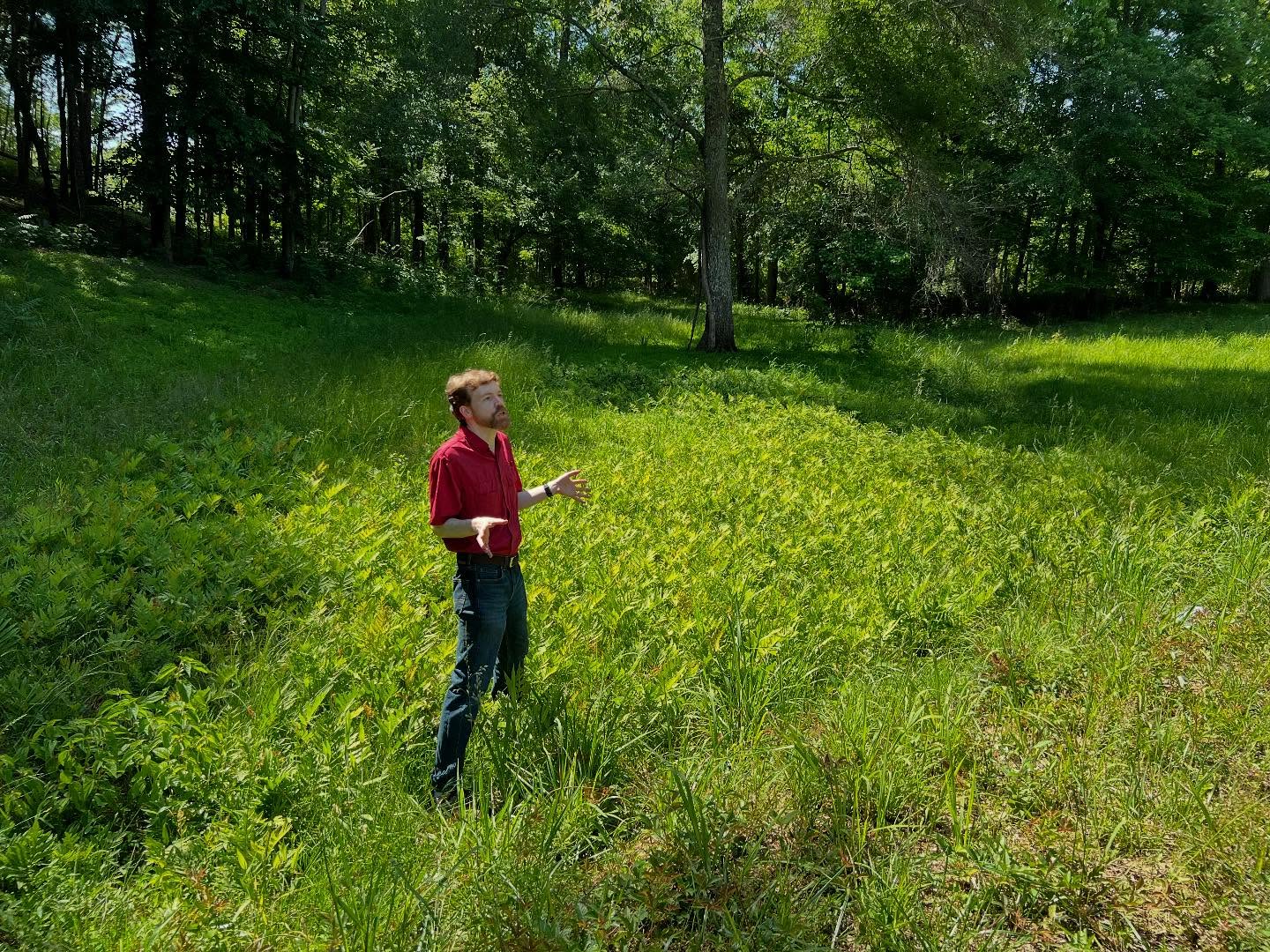 We had a beautiful day for an informative Walk n Talk led by @tobynicholassaunders who took a closer look at the diverse flora throughout McIntosh.