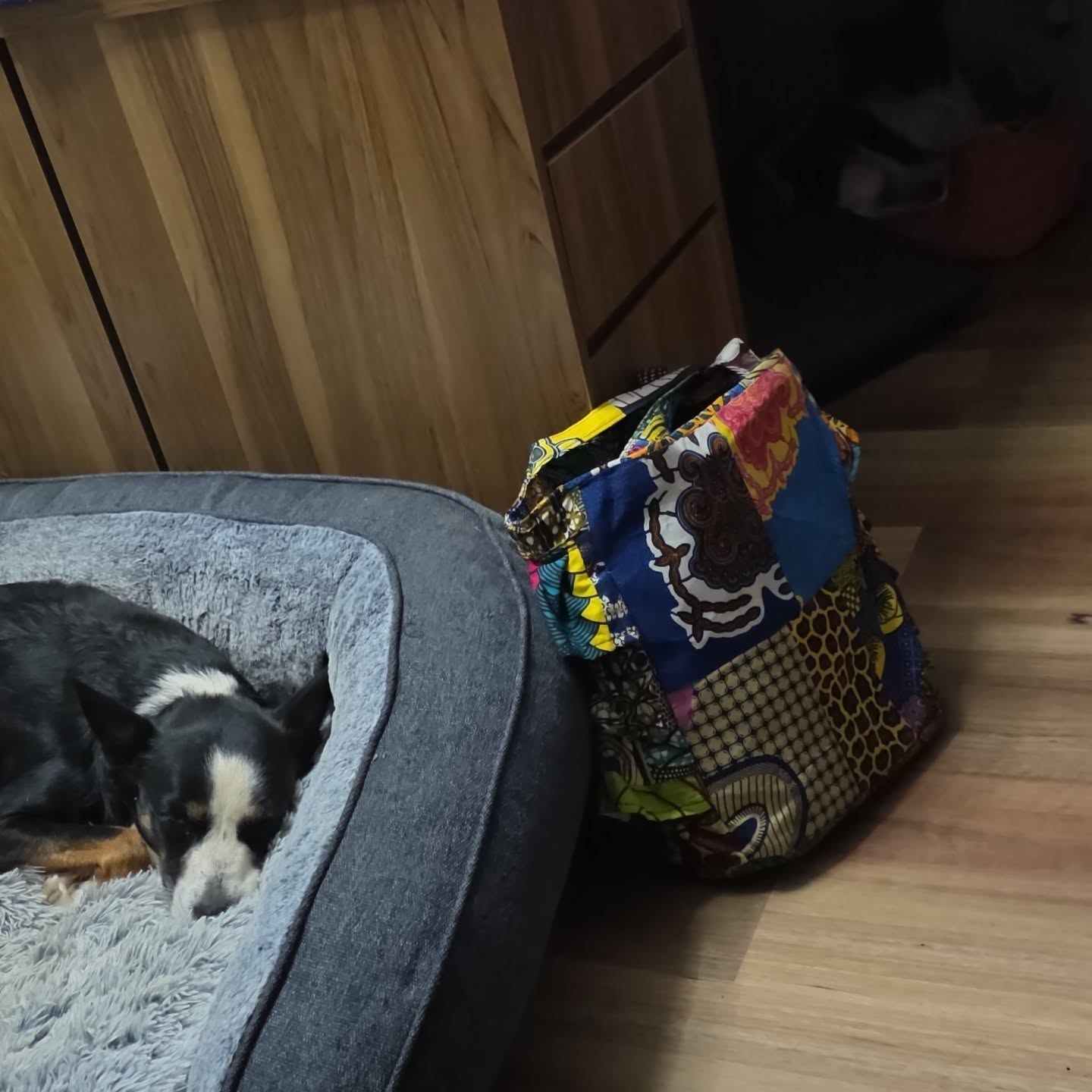 Dogs are so glad to be home and have their own little space.