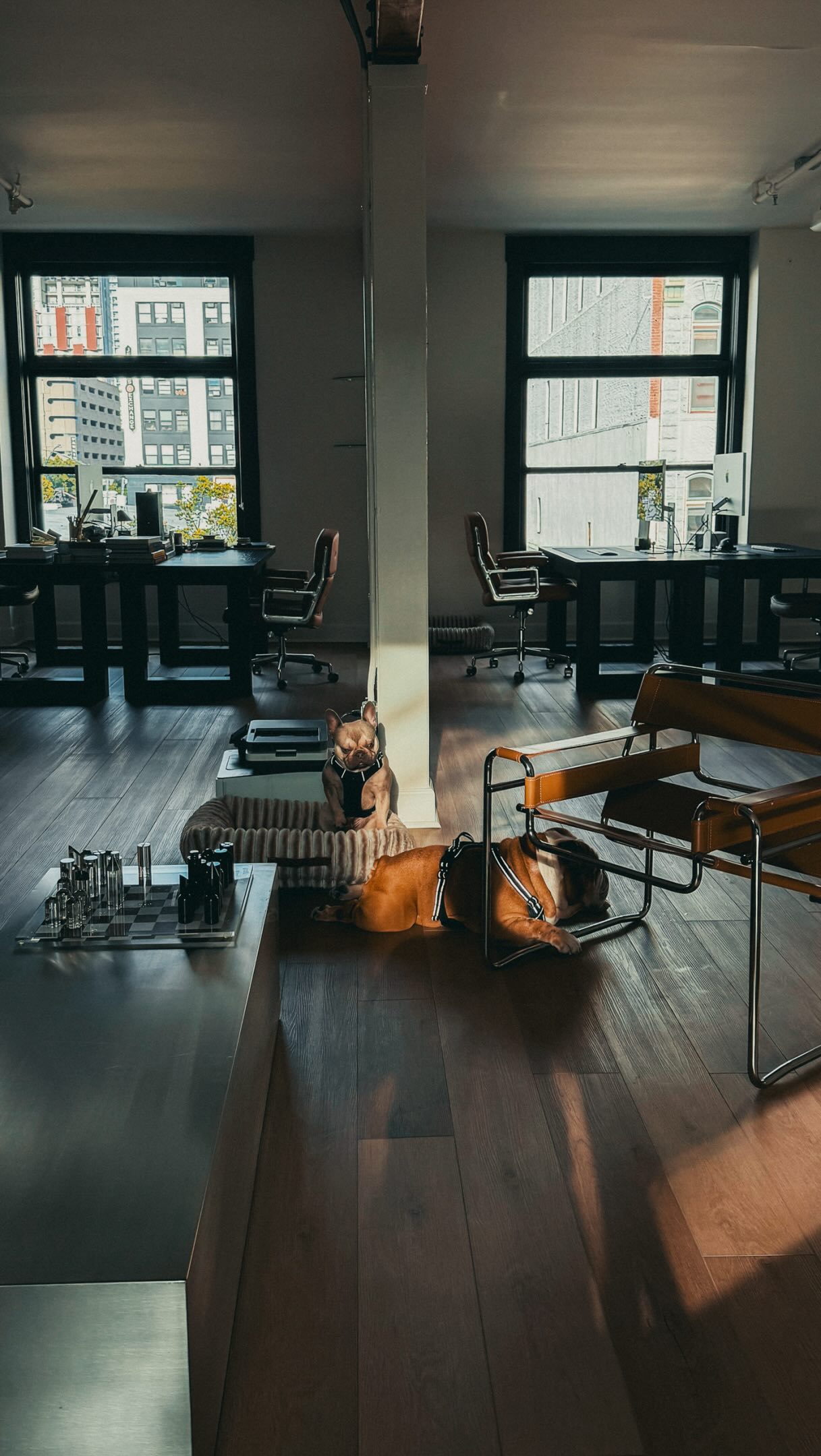 POV: your NYC-based social media manager @graceanneroche swears she’s locked in today.
meanwhile her browser is open to flights — and not a single one is headed to San Diego HQ. grace... is there something you want to tell us? 👀
#Inovatory #RemoteTeam #SanDiego #AgencyLife #CreativeAgency