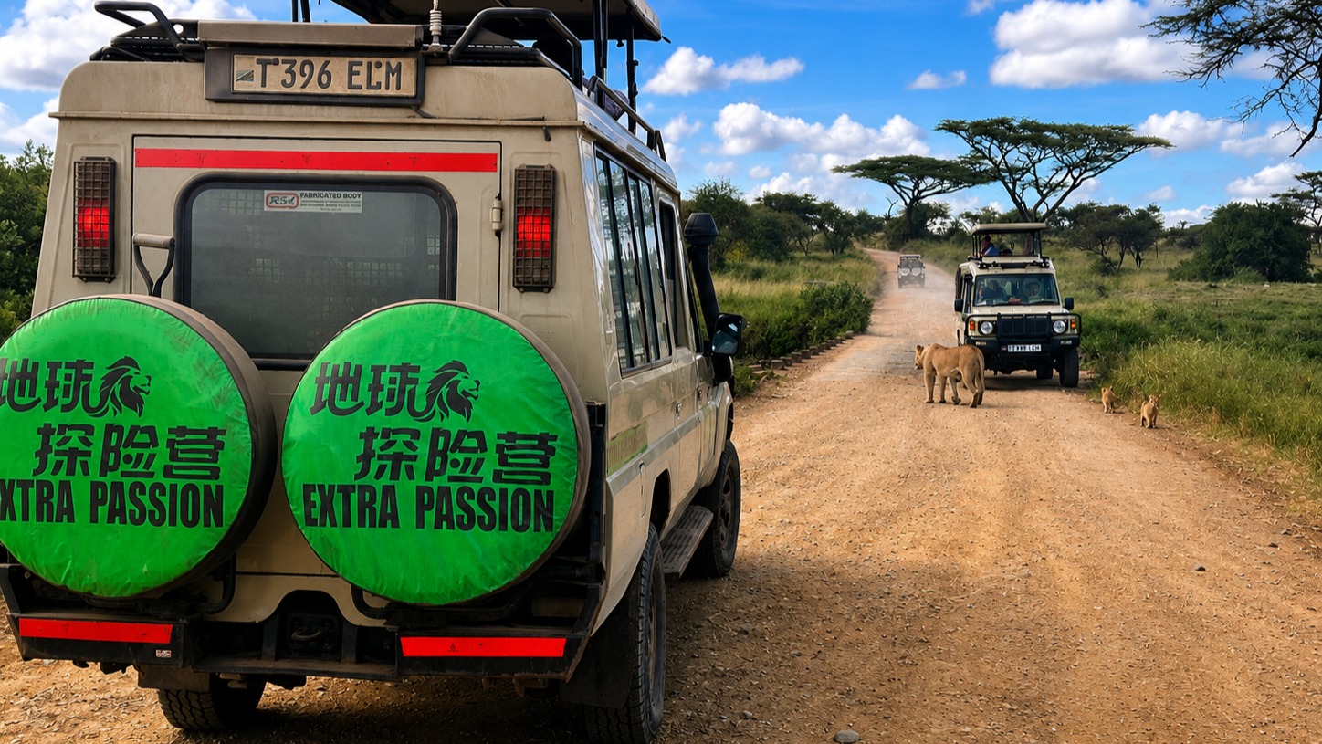 🦁 A traffic stop… Serengeti style. 🌍🚙
In the wild, lions have the right of way. Watching this lioness and her cubs cross the road in front of our safari vehicles was a truly unforgettable moment.
Every game drive with Extra Passion Safaris brings you closer to nature, adventure, and the raw beauty of Tanzania. ✨
📩 info@extrapassionsafariss.com
🌐 www.extrapassionsafariss.com
#Serengeti #Lioness #SafariAdventure #ExtraPassionSafaris #WildlifeExperience