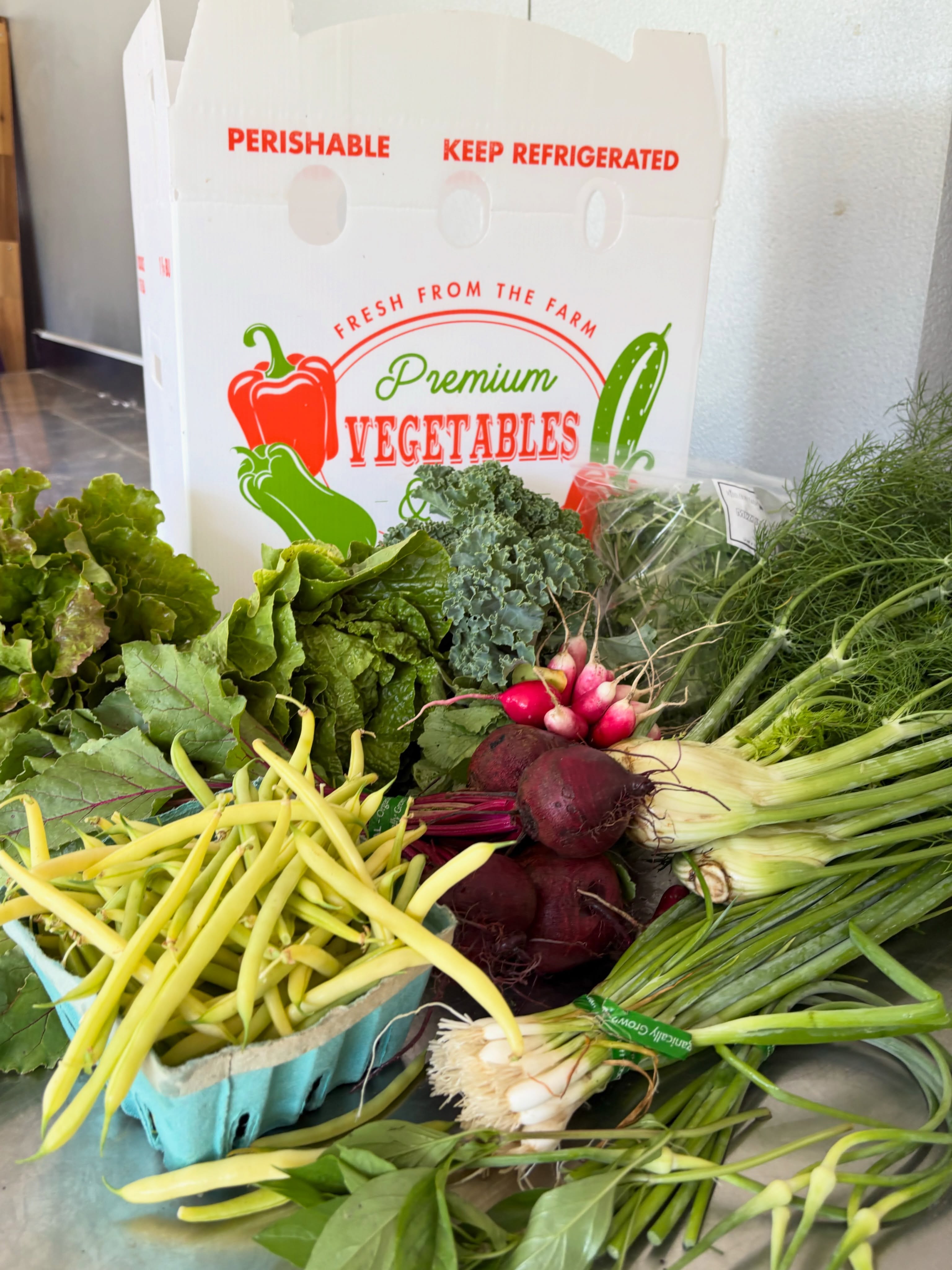 There’s still time to join our 2026 CSA Farm Box season! 🌱📦
If you’ve been thinking about eating more fresh, local, certified organic produce this season — you haven’t missed out yet. Our CSA memberships are still open, and we’d love to have you join us for another incredible growing season at Middlebury Farms.
Each week, members receive a box filled with the best of what’s growing on the farm, harvested fresh for you and your family. 🥕🥬🍅
👉 Find the link in our bio for more information and to register.