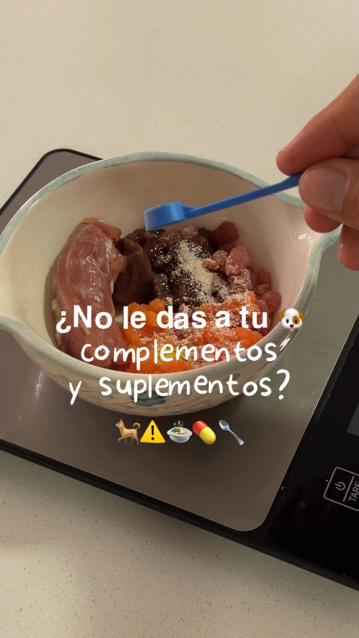 💬 Comenta YO QUIERO y te comparto un recurso para entender la diferencia entre complemento y suplemento, porque no son lo mismo. 🐾
Una dieta casera puede verse muy completa… y aun así tener vacíos nutricionales importantes. No porque estés haciendo algo mal, sino porque hay nutrientes que simplemente no se cubren solo con los ingredientes frescos que están a tu alcance. 🥩🥕
Cuando faltan, las consecuencias no siempre se ven de inmediato. Pero con el tiempo pueden afectar:
⚡️ La energía
🐾 La piel y el pelaje
🛡️ El sistema inmune
🦴 Las articulaciones
❤️ El corazón y los riñones
Los complementos y suplementos no son un extra, son parte fundamental de lo que hace que una dieta casera sea realmente segura y equilibrada a largo plazo. Se trata de elegirlos con criterio, según las necesidades de cada perrunito. 🐶
Porque darle lo mejor empieza por entender lo que realmente necesita. 🐾
💛 Sígueme para seguir aprendiendo juntas sobre nutrición y bienestar canina. ✨