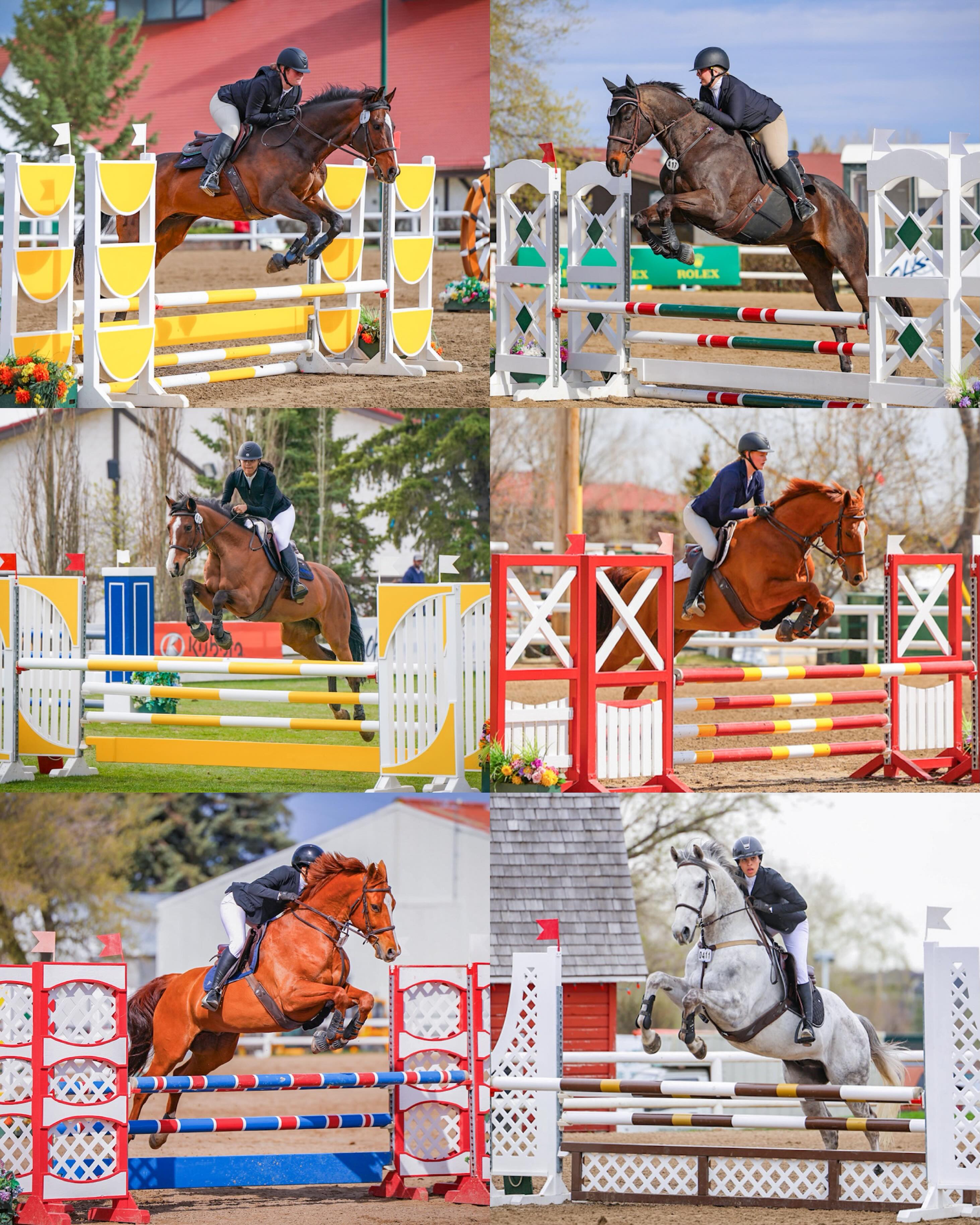 While I was stuck in a hospital bed this week, the SugarTide crew was out at Spruce Meadows doing what they do best.
5 riders. 6 horses. One coach holding down the fort.
I could not be prouder of what Demi accomplished at the May Classic. Every rider came home with independent successes, breakthroughs, confidence, and rounds worth celebrating. No shortcuts. Just good horsemanship, teamwork, resilience, and the kind of coaching that helps riders grow for real.
Watching from afar while recovering was emotional in the best way. SugarTide has never been about one person - it’s about building a team that lifts each other up, even when life gets hard, and the support from our entire team and barn family this week has been unreal while I’ve been recovering, thank you all so much.
And honestly, getting to see everyone thrive like this on my birthday feels pretty special too!
Huge congratulations to all of our riders, horses, parents, and especially Demi. I am so incredibly thankful for you and proud to work alongside you with all of our amazing students. 💜
Thank you to @rylee_smolarchuk_photo for making sure everyone gets the most amazing photos even when the personal photographers are having to play nurse. Of course credit for the beautiful edits to that self same resident photographer @siphonophoid
Here’s to growth, grit, and a pretty incredible May Classic.