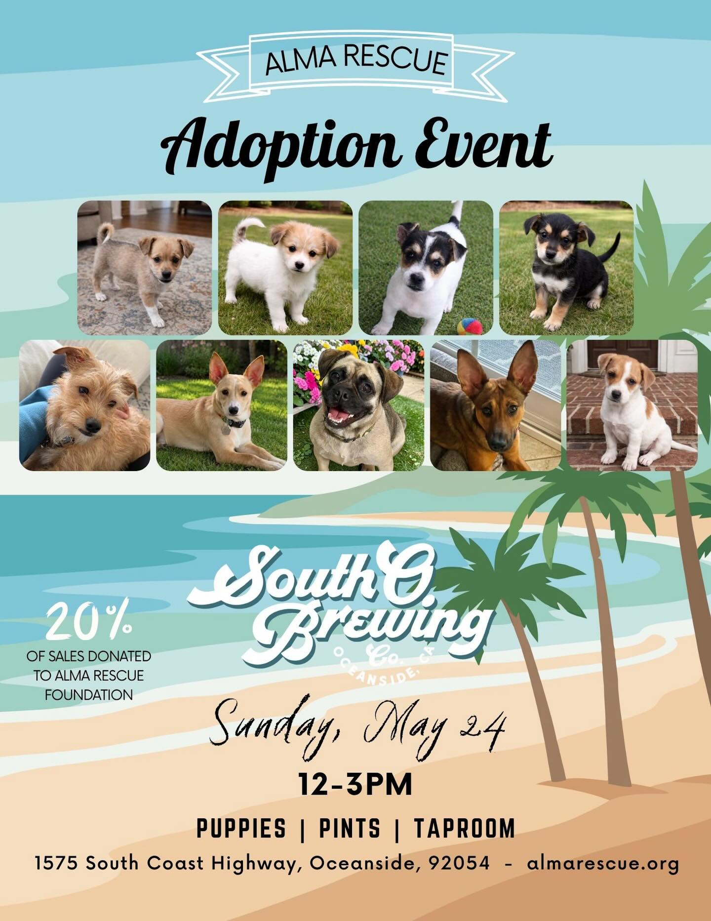 Back to Back Adoption Events next weekend!
Saturday, May 23rd at @tradecraftfarmsvista & Sunday, May 24th at @southobrewingco
It's going to be a great weekend filled with cuddly pups & happy dogs just waiting to meet their Forever Families! πΎπβ₯οΈ
Hope to see you there!
#adoptdontshop #adoptevents #northcounty #fyp #almarescue