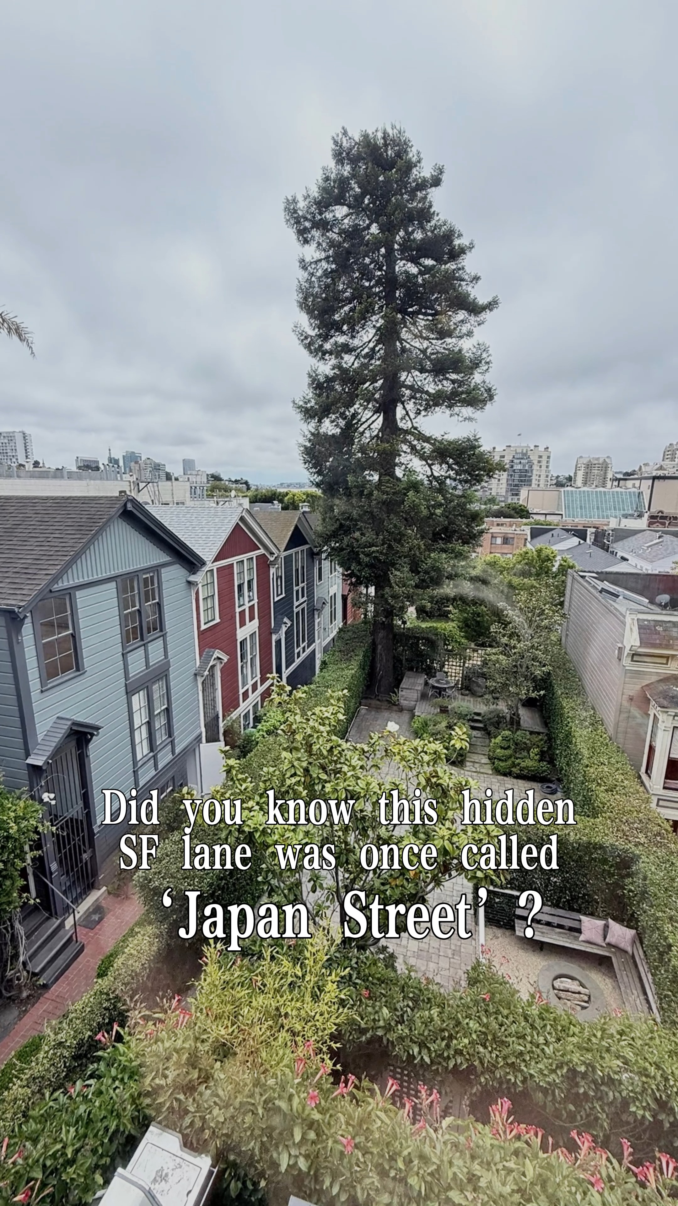 Did you know Cottage Row was once known as “Japan Street”?
In the 1930s, many of the Victorian cottages were home to Japanese and Japanese American families who created a tight-knit community in the heart of San Francisco’s Japantown. Residents grew vegetables in their backyards and sold produce along the lane on weekends.
That community was disrupted in 1942 when Japanese Americans were forcibly removed and incarcerated during World War II.
Today, Cottage Row remains one of the few surviving pieces of prewar Japantown, and the Issei Memorial Garden in the mini park honors the families who once called this hidden lane home.
📲 (415) 418-0541
📩 CT@cynthiatraina.com
#️⃣ DRE 02162958
#CottageRow #JapanStreet #JapantownSF #SanFranciscoHistory #JapaneseAmericanHistory #IsseiGarden #HistoricSanFrancisco #PacificHeights #HiddenSanFrancisco