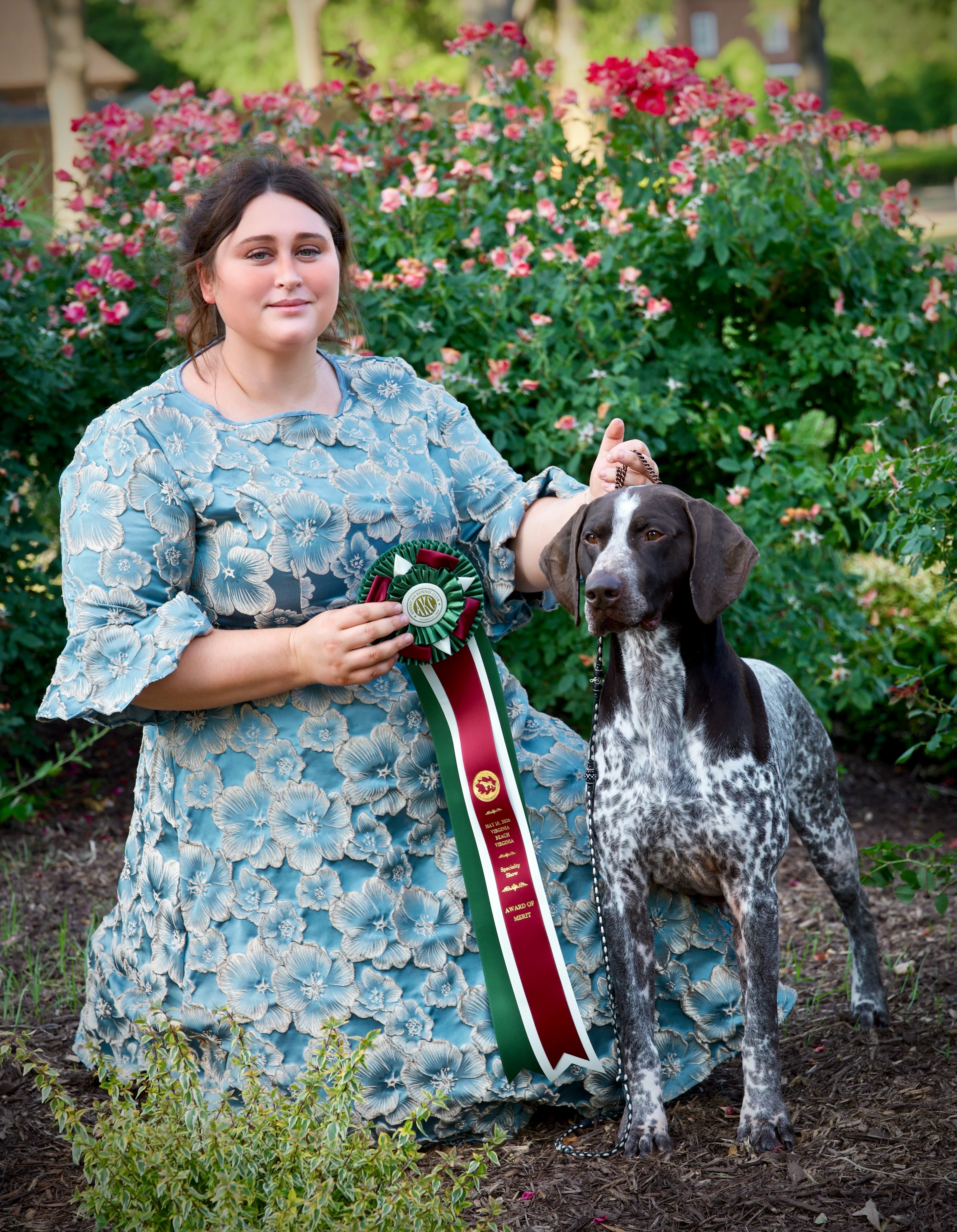 Billy Joel wins Award of Merit this evening at the Mason Dixon Specialty Show leading up to our American National in a 200 dog entry.
Expertly piloted by his other mother, Katie.
Thank you to judge Mrs. Anne-Marie Taylor. Congratulations to today winners!!!
•
•
•
#legacyk #nss #gsp #gspoftheday #gspsofinstagram